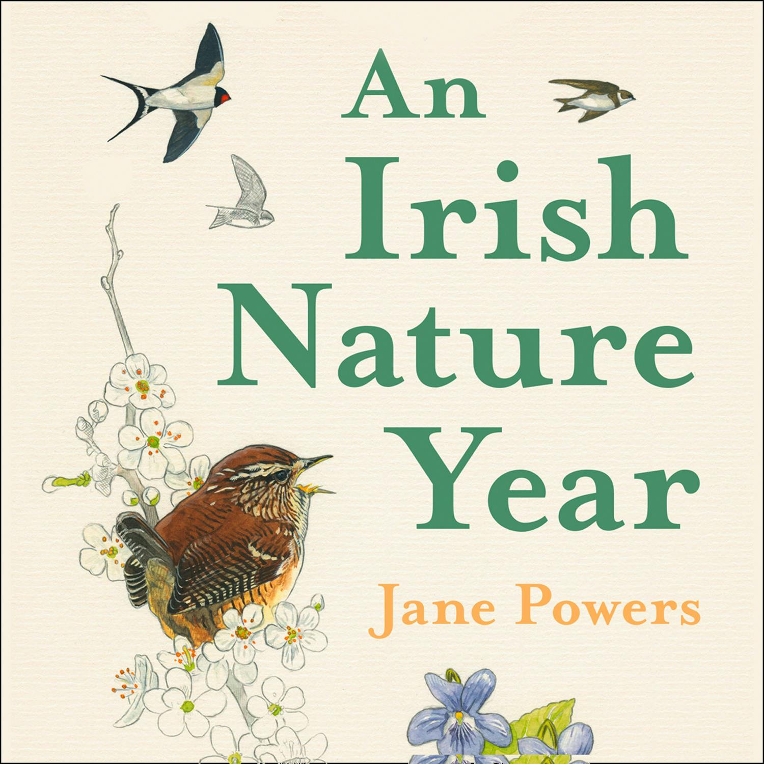 An Irish Nature Year - Jane Powers