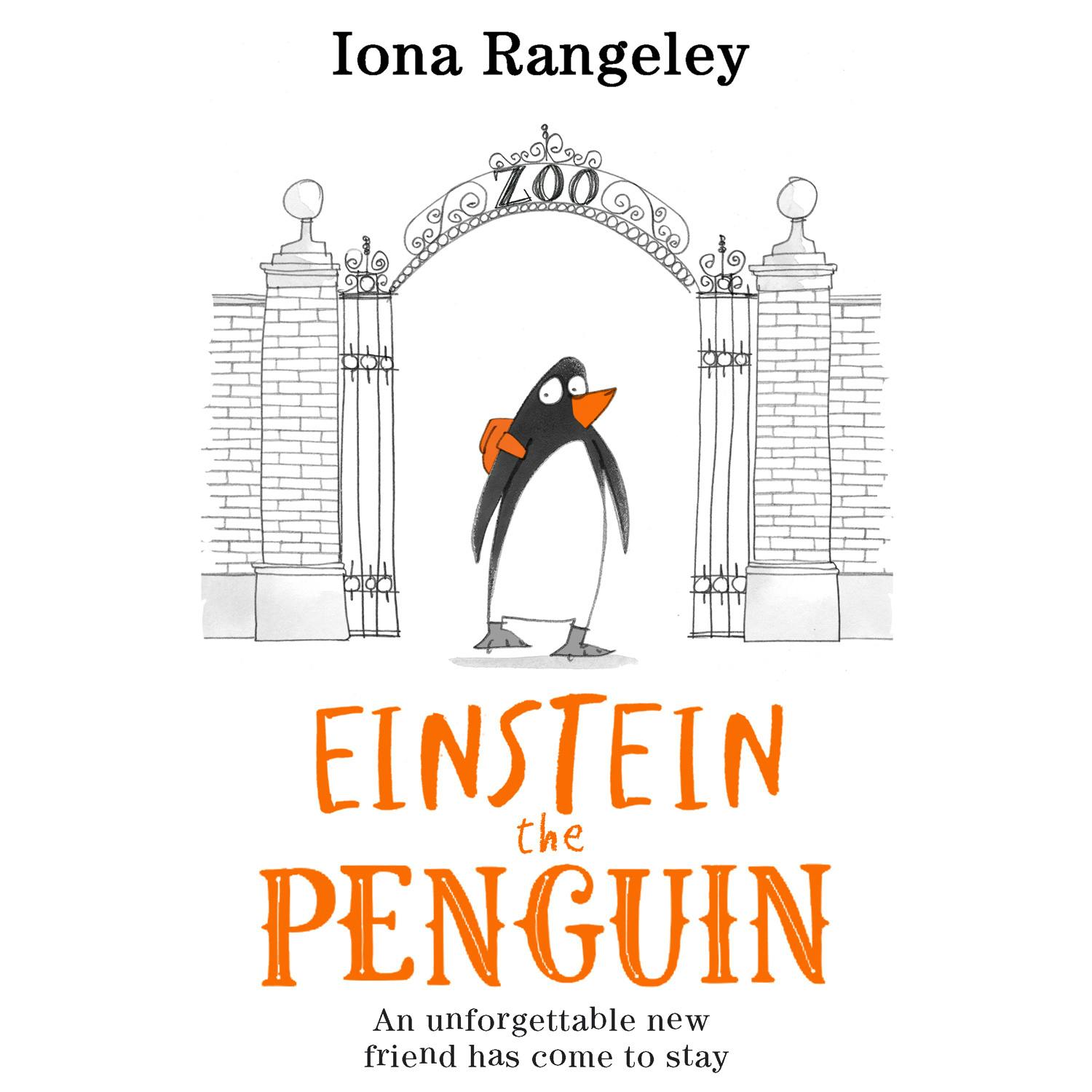 Einstein the Penguin - Iona Rangeley