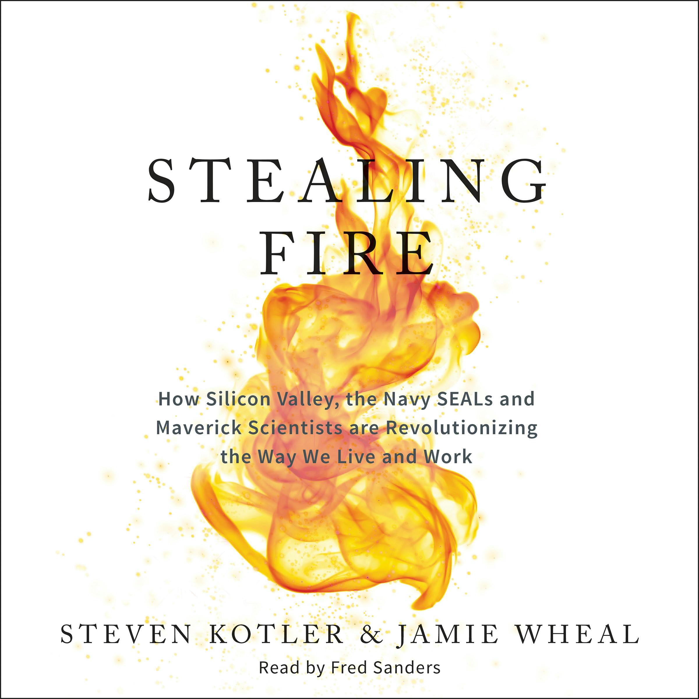 Stealing Fire: How Silicon Valley, the Navy SEALs, and Maverick Scientists Are Revolutionizing the Way We Live and Work - Jamie Wheal, Steven Kotler