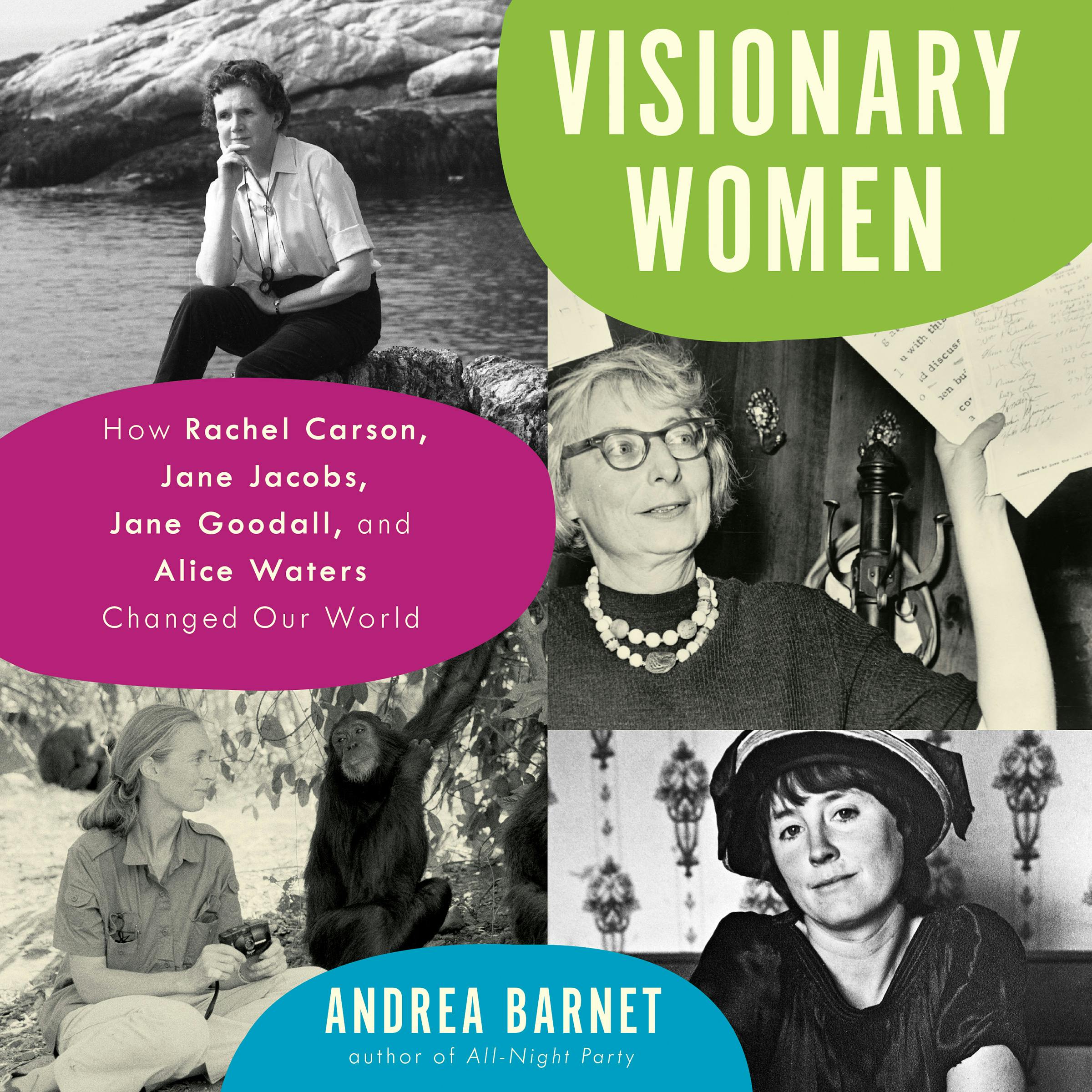 Visionary Women: How Rachel Carson, Jane Jacobs, Jane Goodall, and Alice Waters Changed Our World - Andrea Barnet