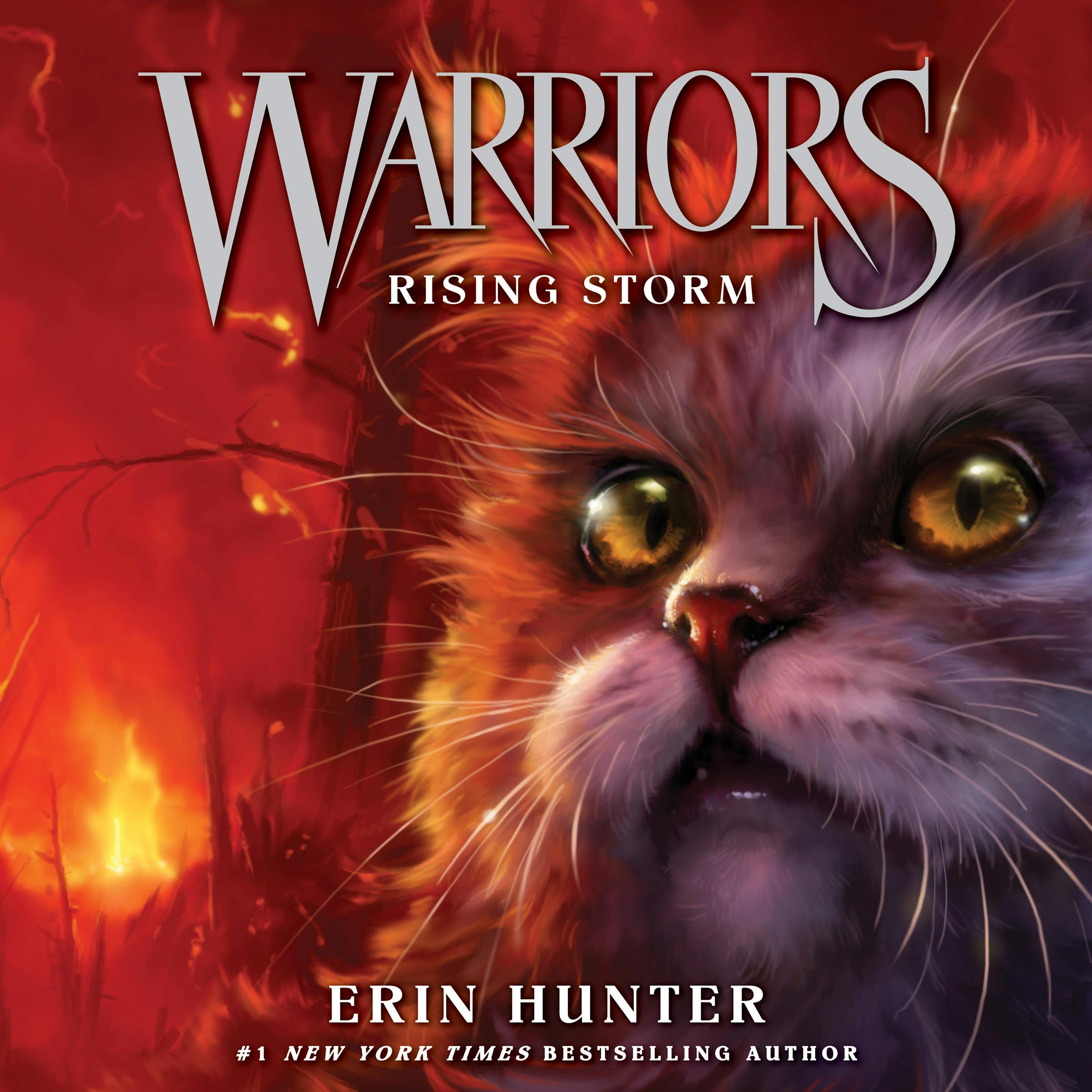 Warriors #4: Rising Storm - Erin Hunter