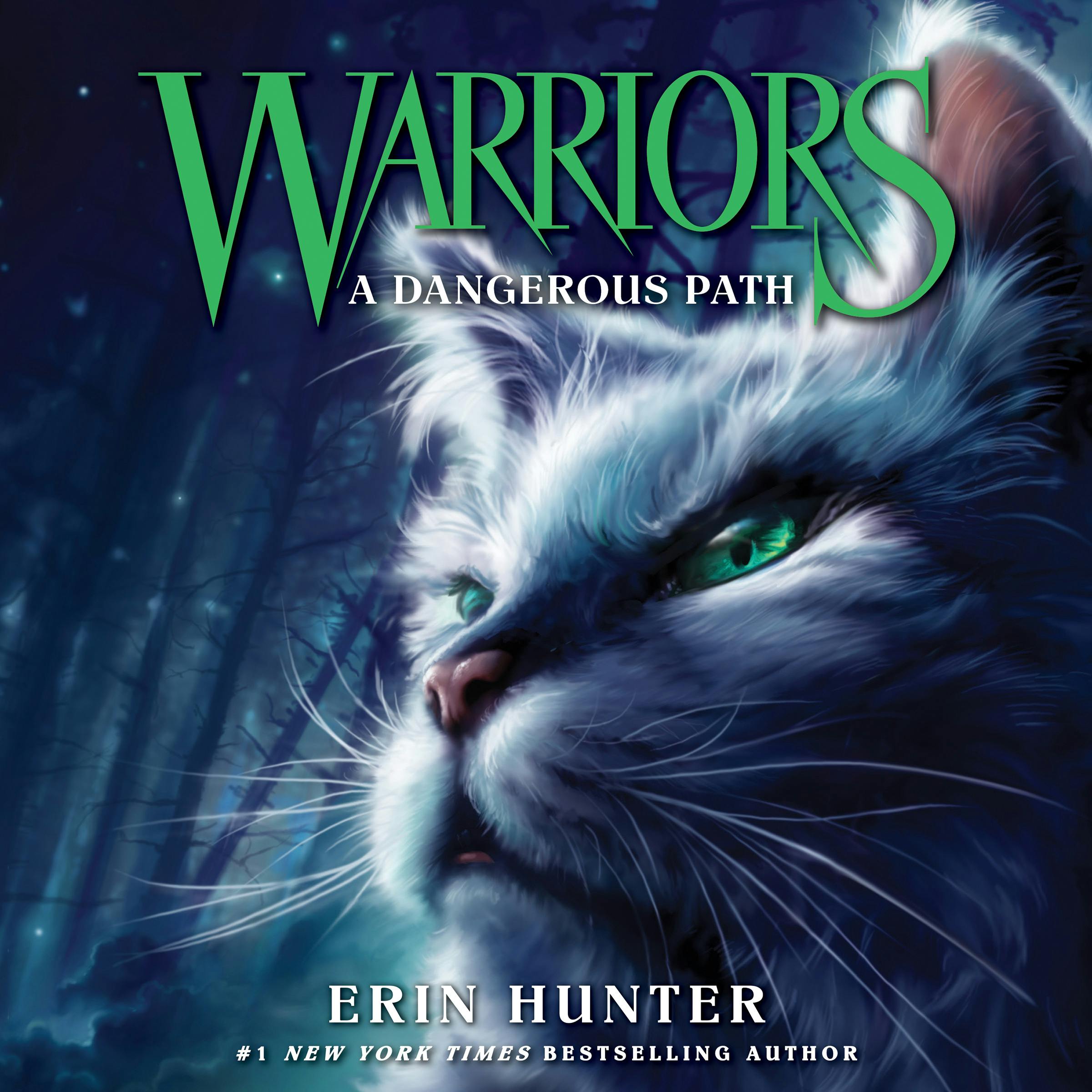 Warriors #5: A Dangerous Path - Erin Hunter