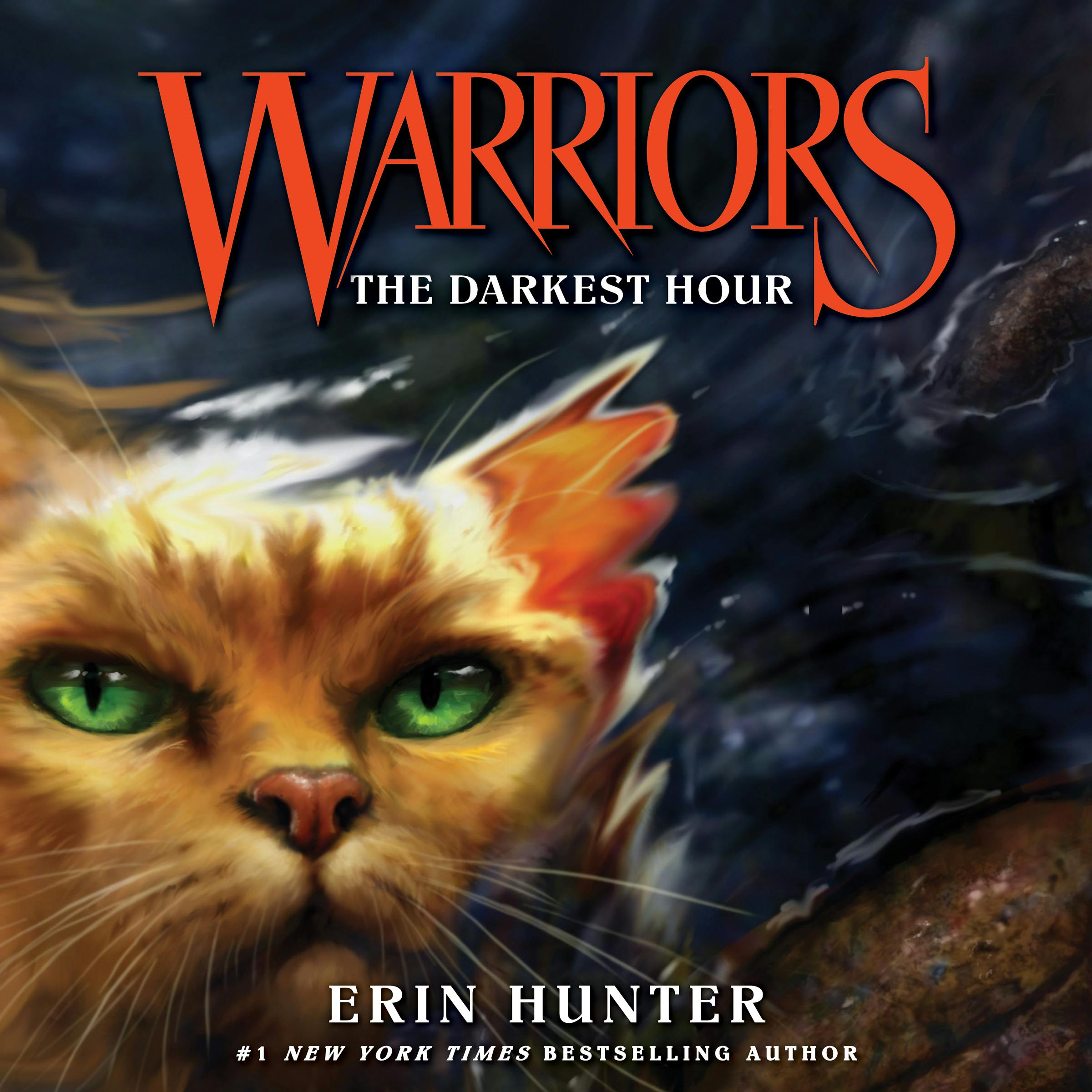 Warriors #6: The Darkest Hour - Erin Hunter