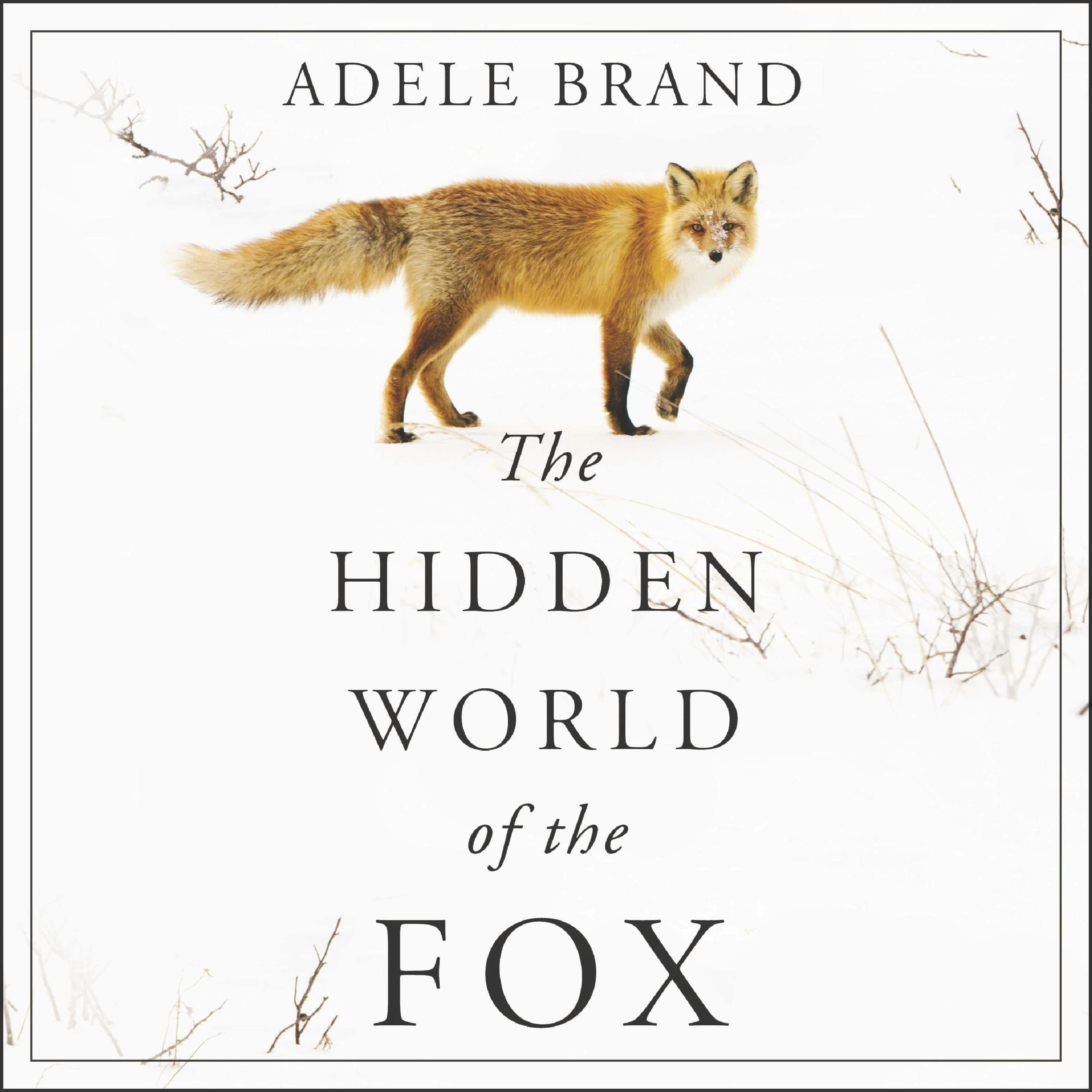 The Hidden World of the Fox - Adele Brand