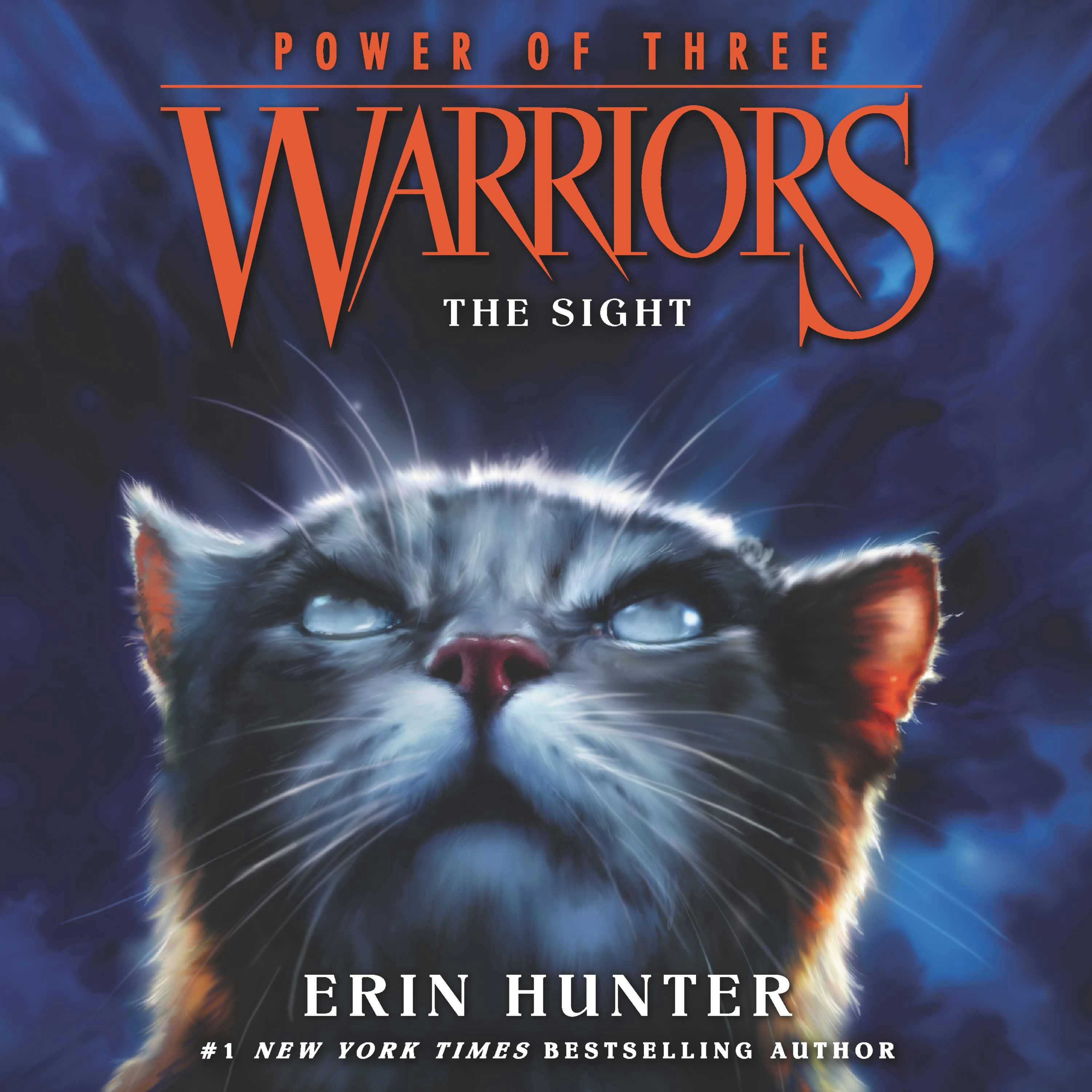 Warriors: Power of Three #1: The Sight - Erin Hunter