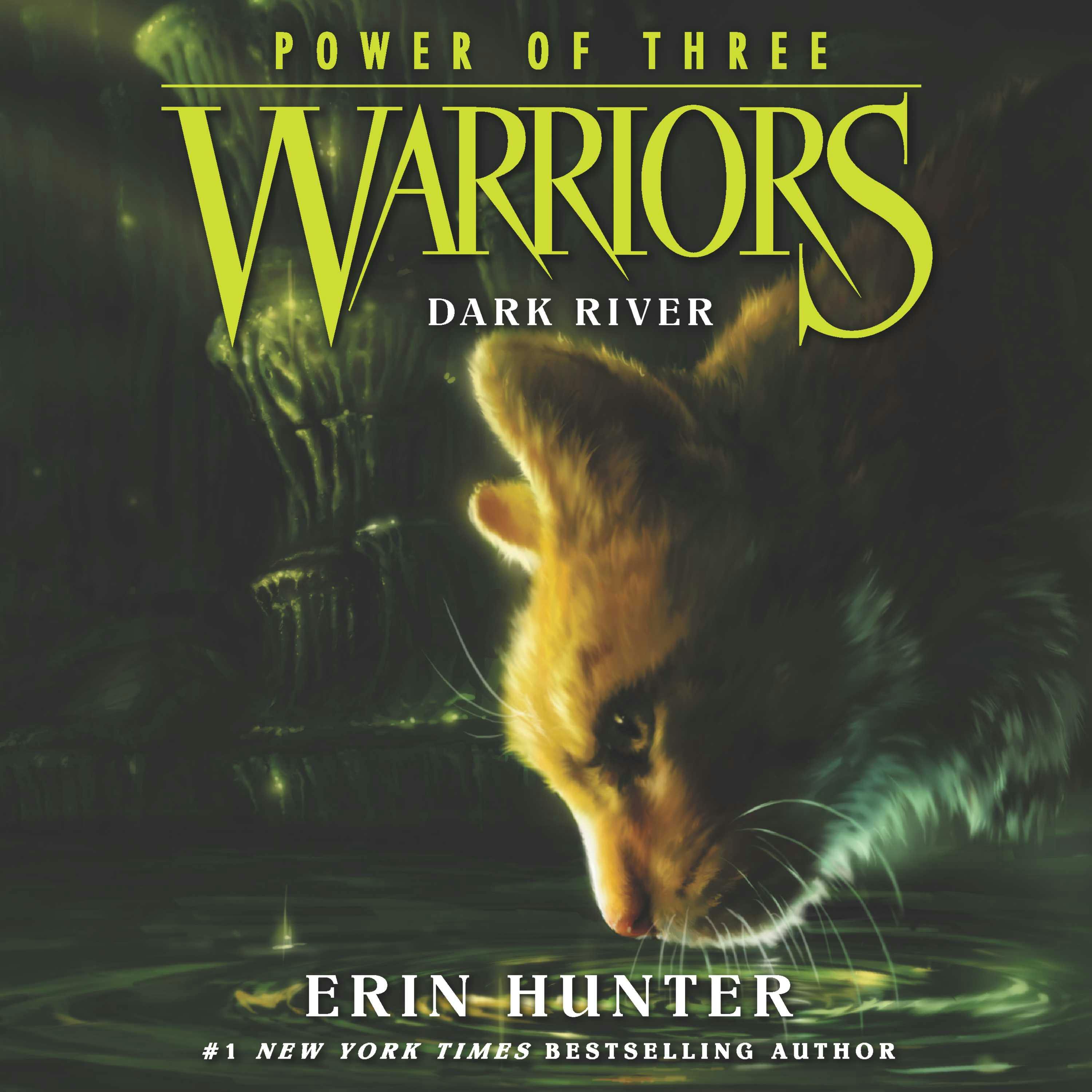 Warriors: Power of Three #2: Dark River - Erin Hunter