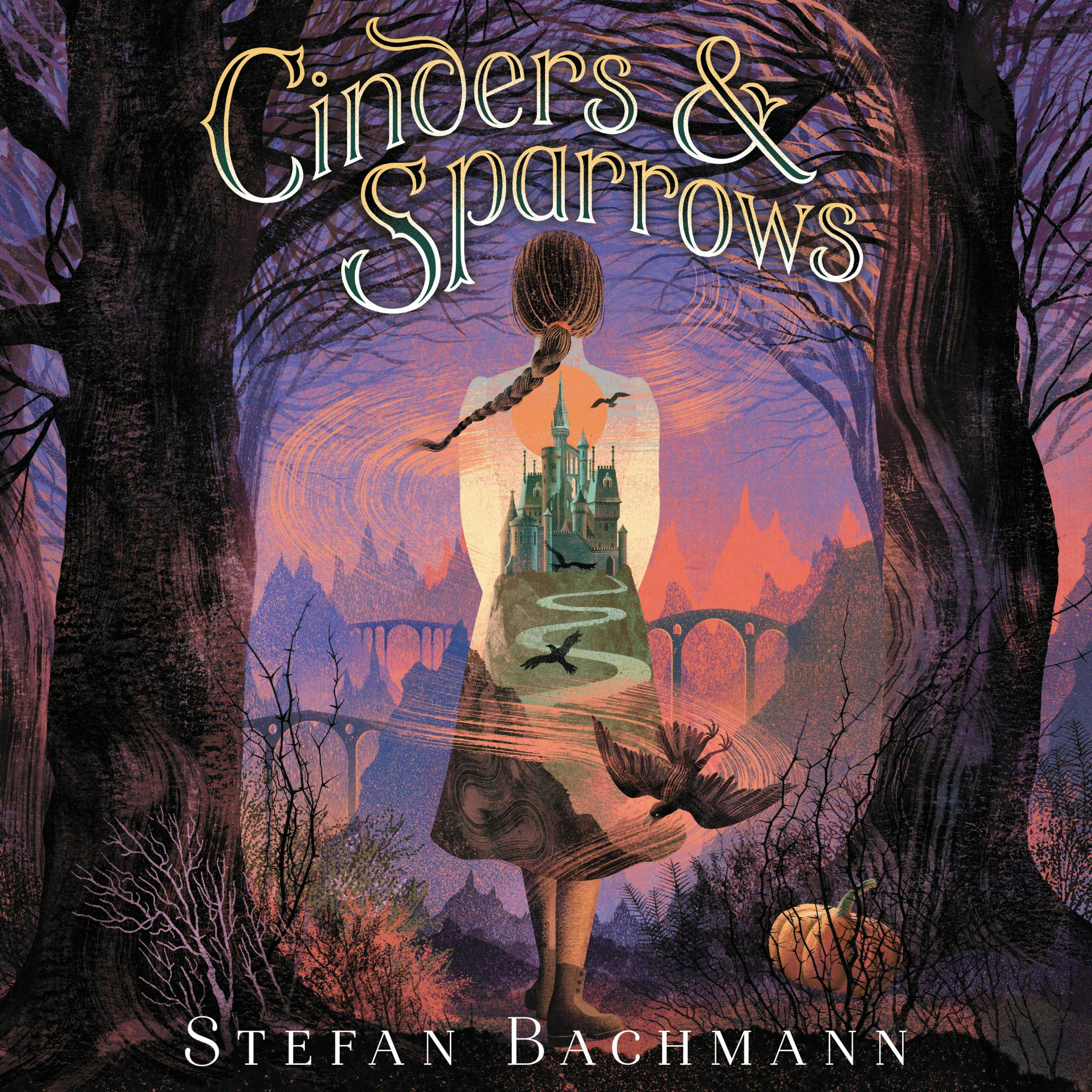 Cinders and Sparrows - Stefan Bachmann