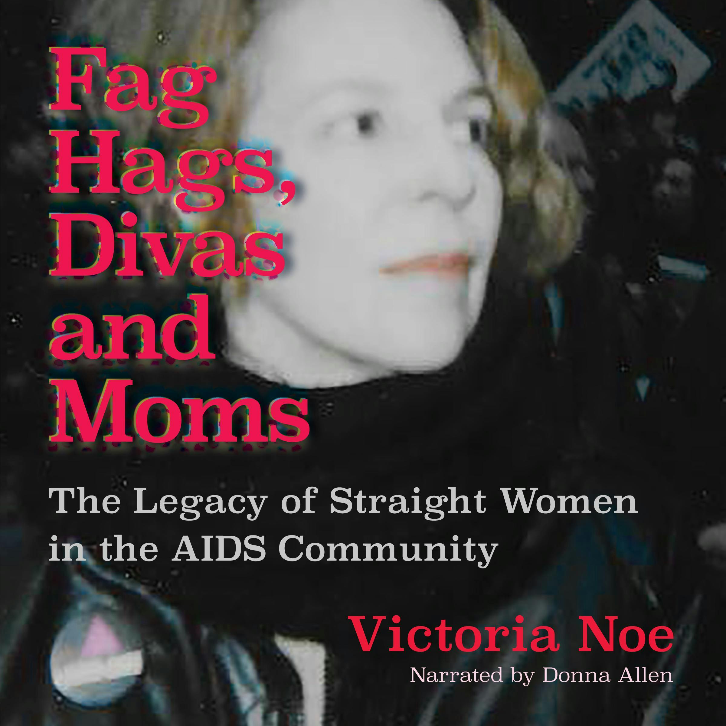 F*g Hags, Divas and Moms: The Legacy of Straight Women in the AIDS Community - undefined
