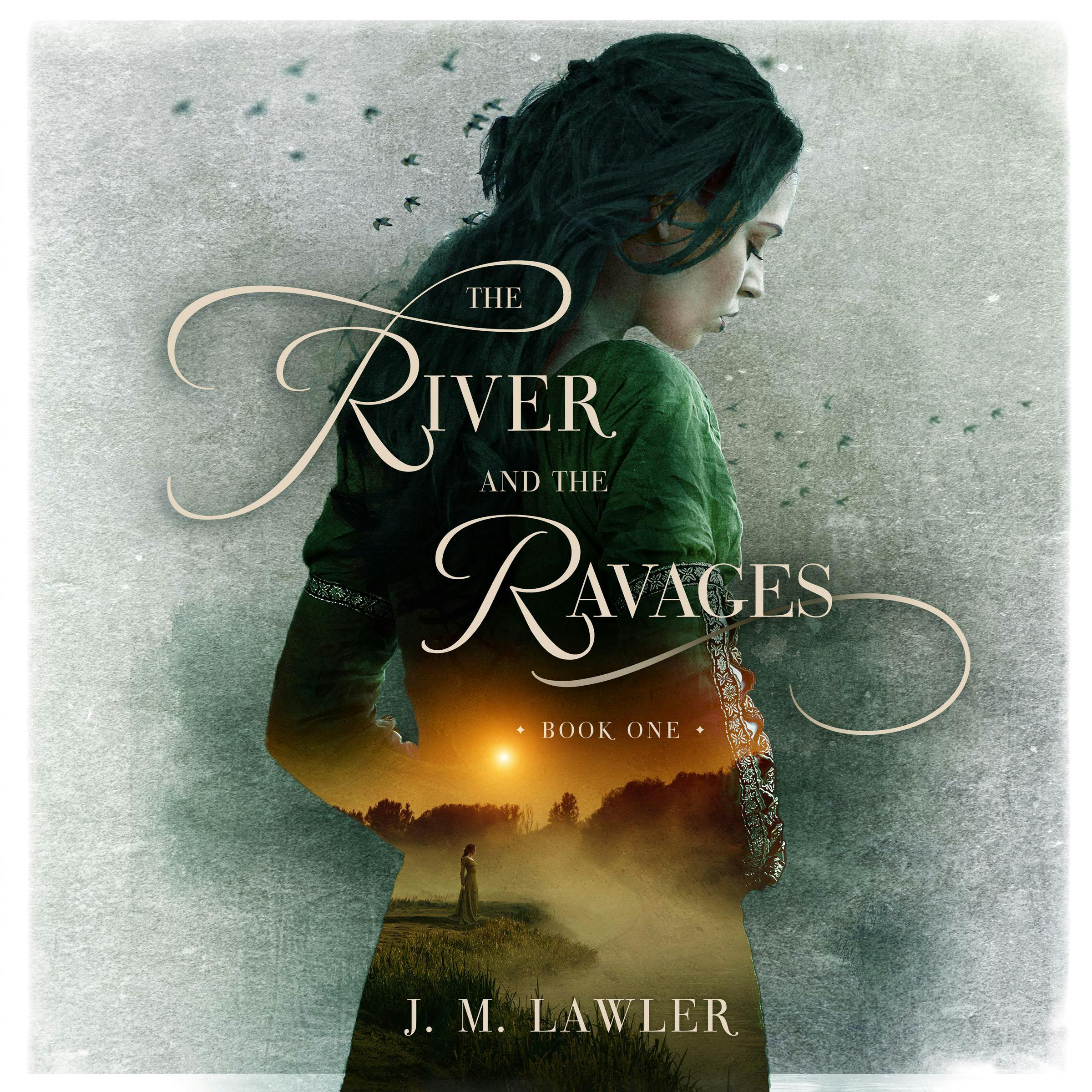The River and the Ravages - J M Lawler