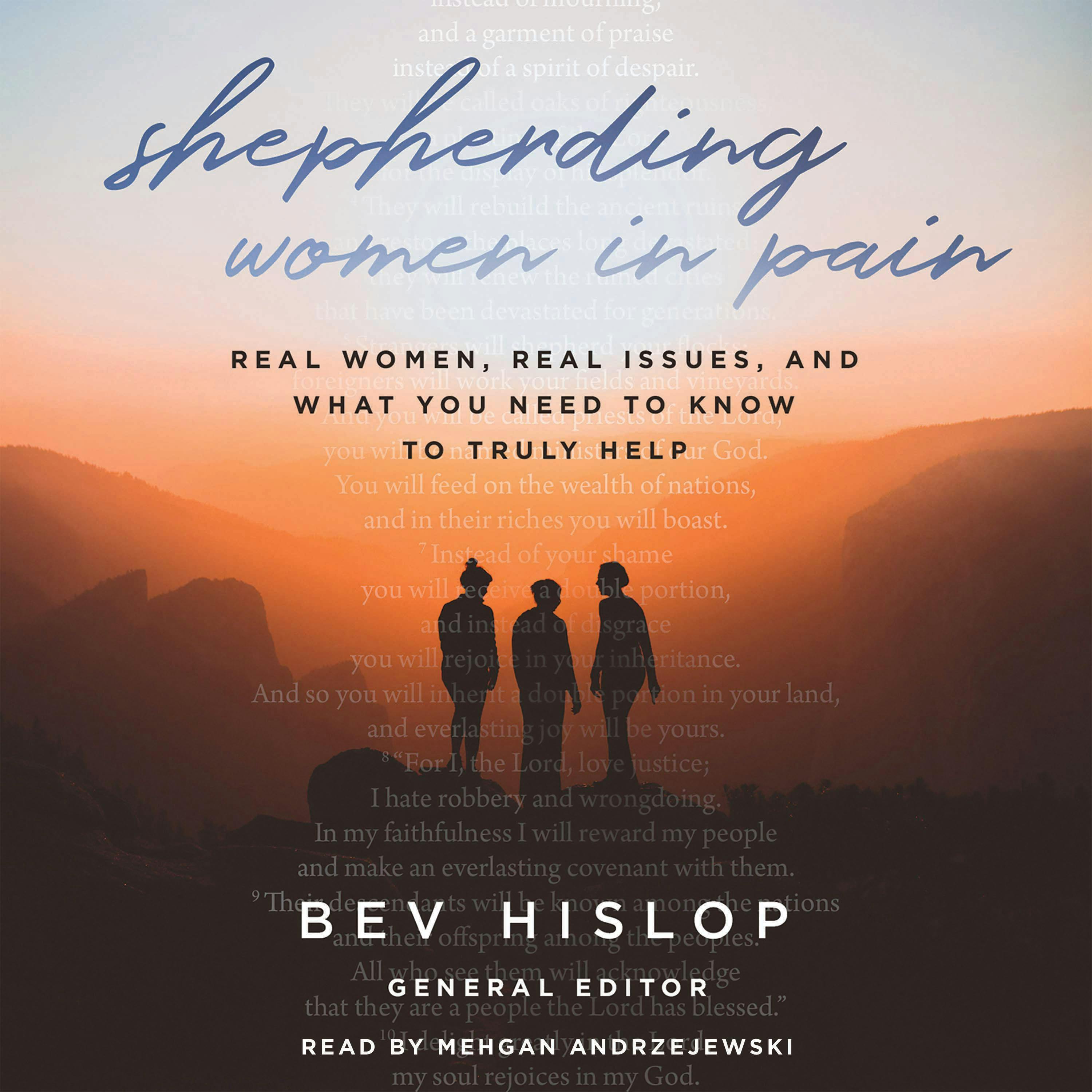 Shepherding Women in Pain: Real Women, Real Issues, and What You Need to Know to Truly Help - undefined