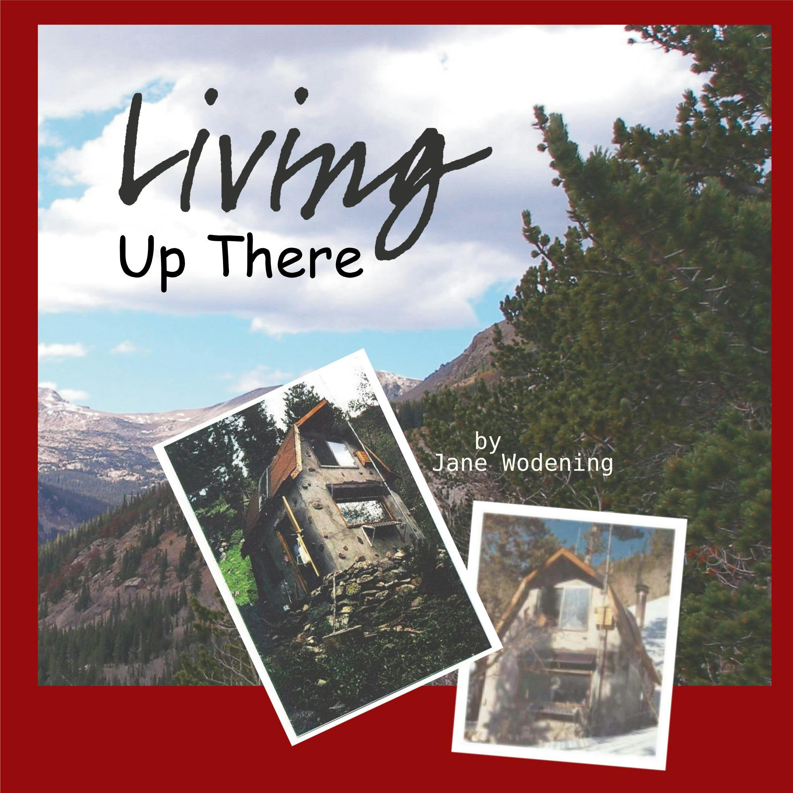 Living Up There - Jane Wodening