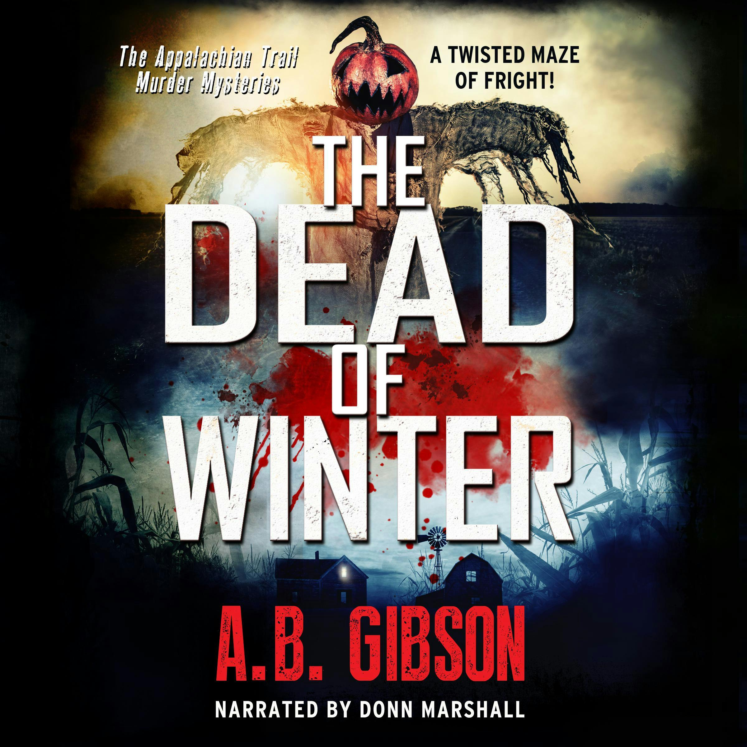 The Dead of Winter: The Appalachian Trail Murder Mysteries - A. B. Gibson