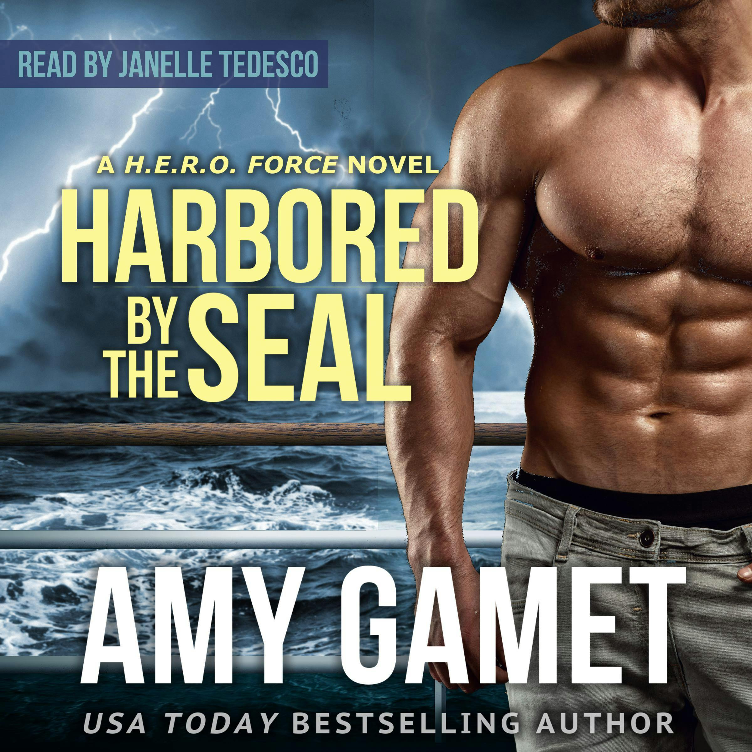 Harbored by the SEAL - Amy Gamet
