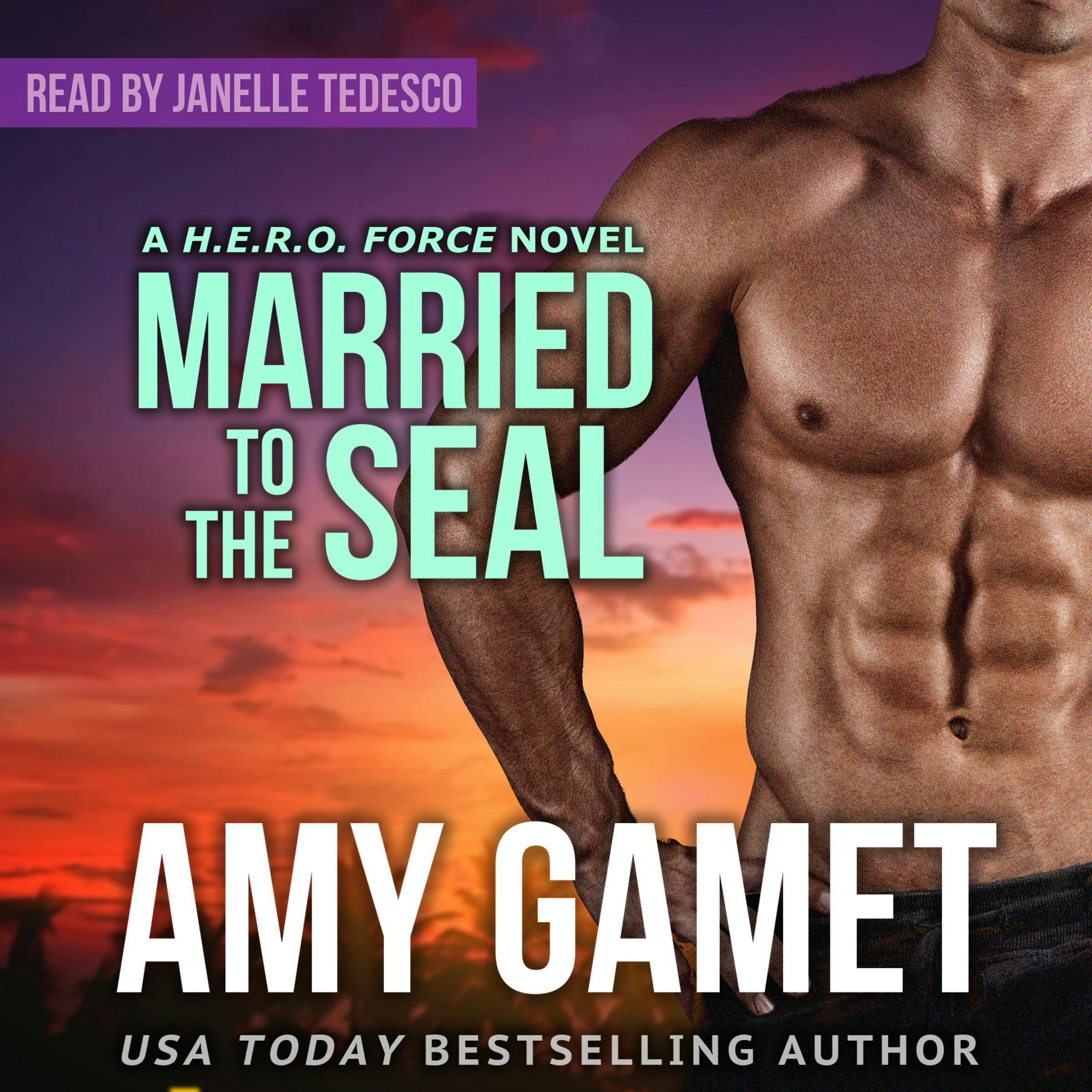 Married to the SEAL - Amy Gamet