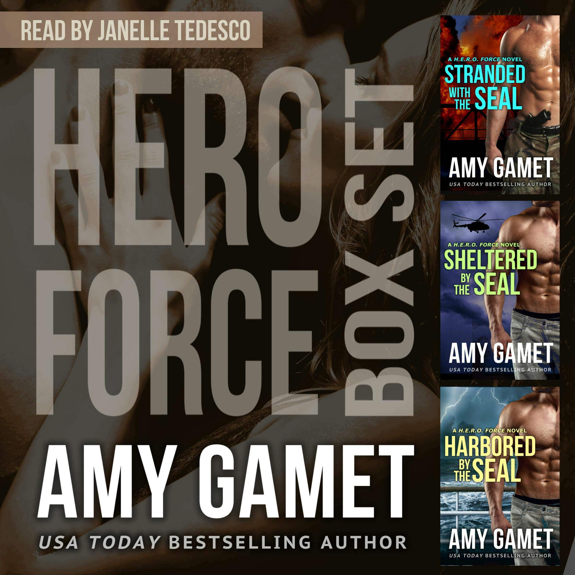 HERO Force Box Set: Books One - Three - Amy Gamet