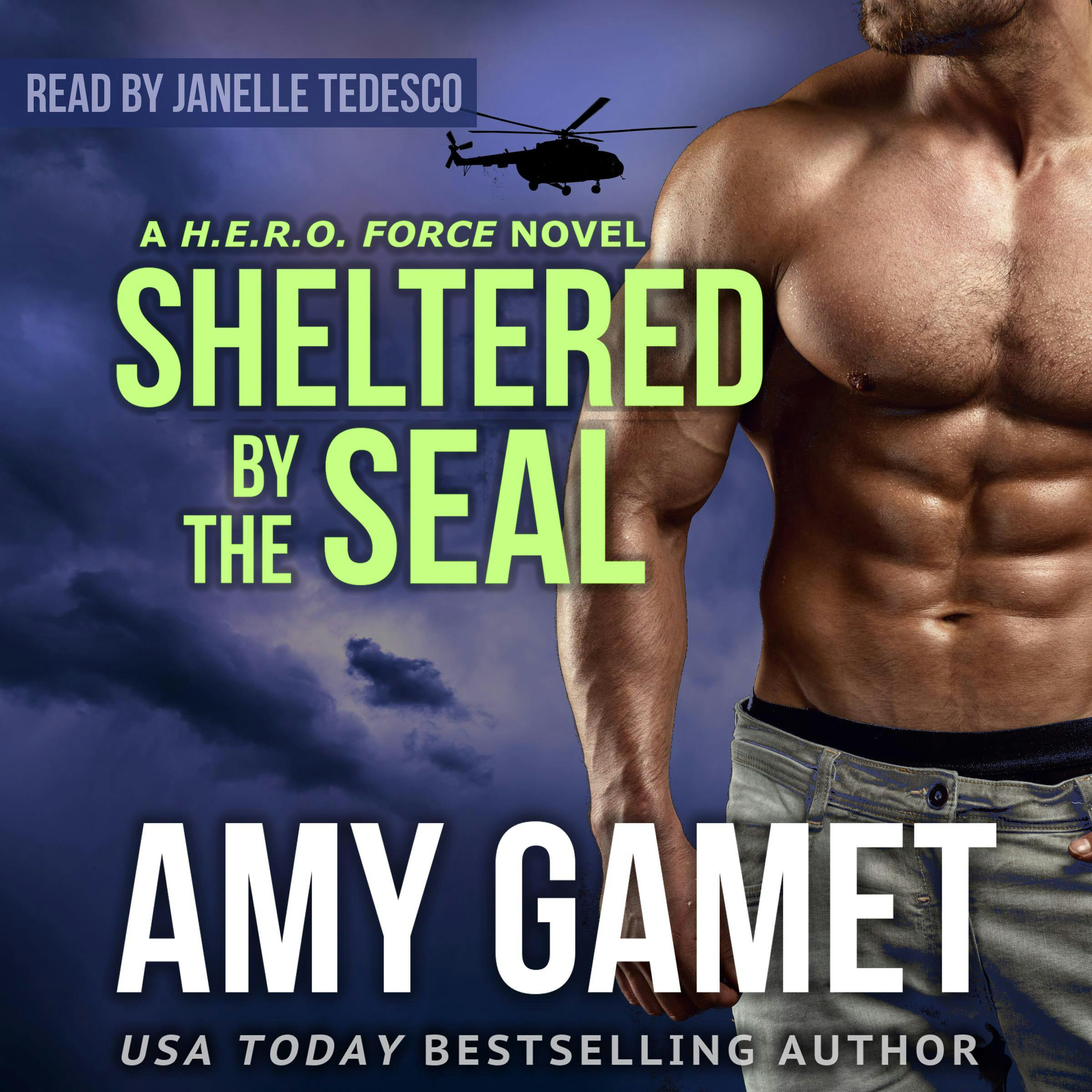 Sheltered by the SEAL - Amy Gamet