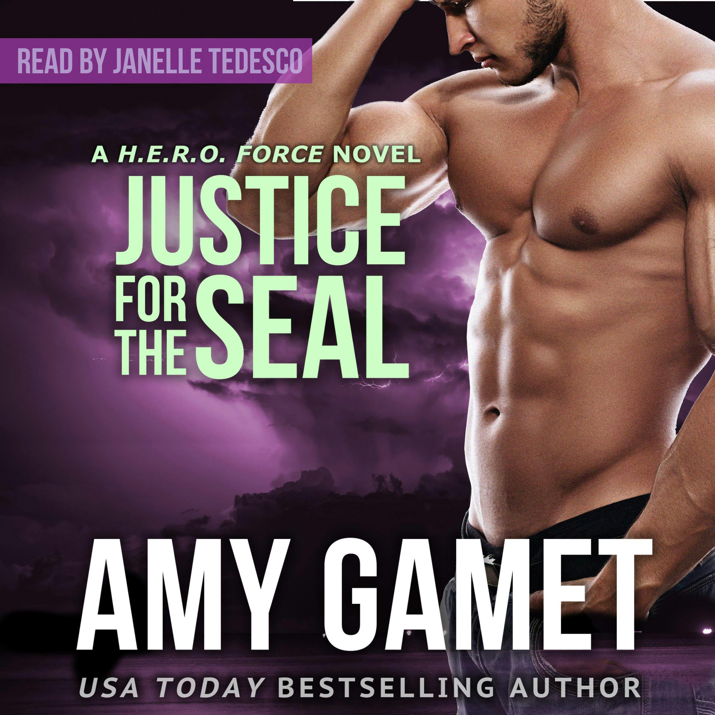 Justice for the SEAL - Amy Gamet
