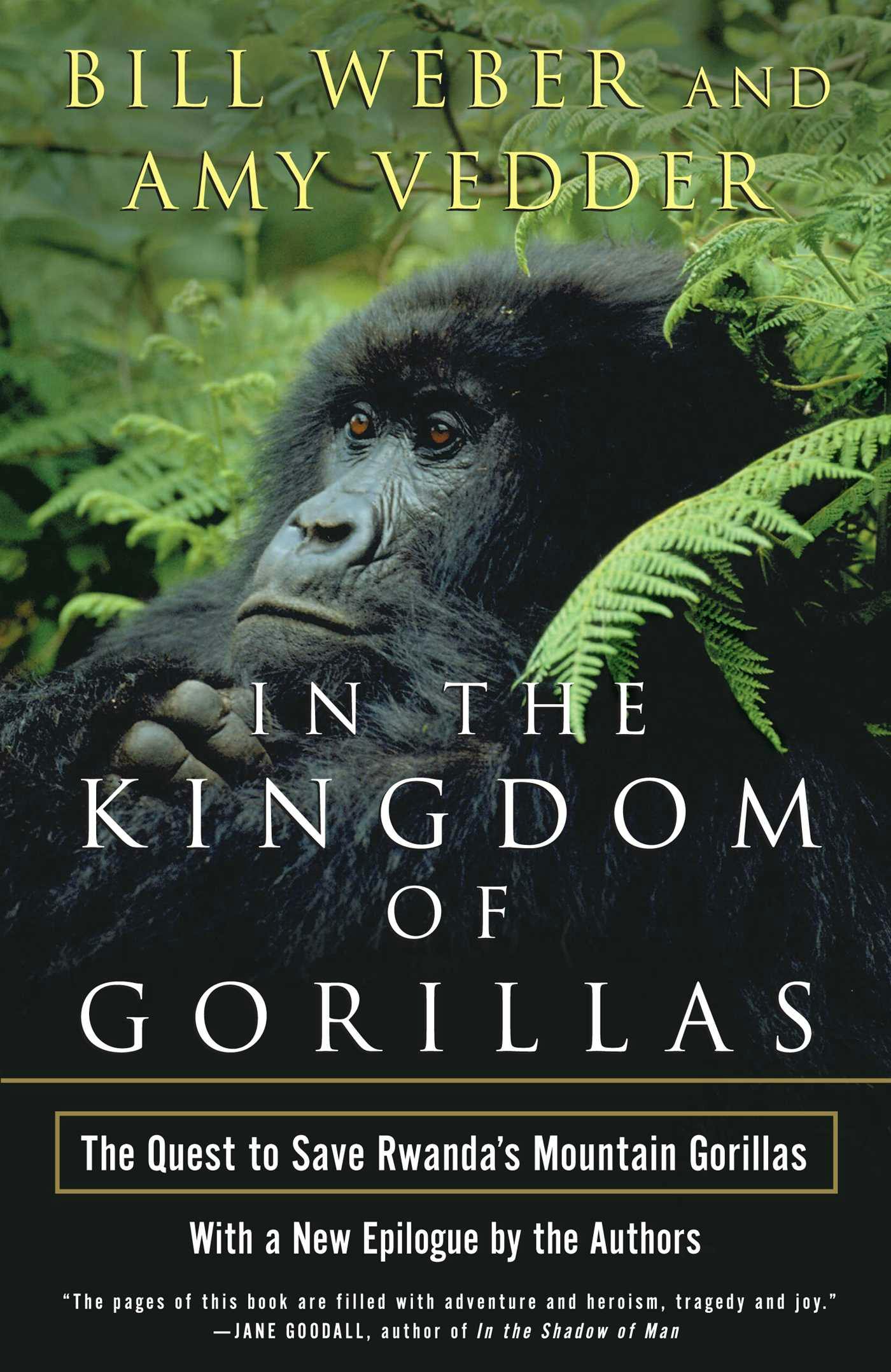 In the Kingdom of Gorillas: The Quest to Save Rwanda's Mountain Gorillas - Amy Vedder, Bill Weber