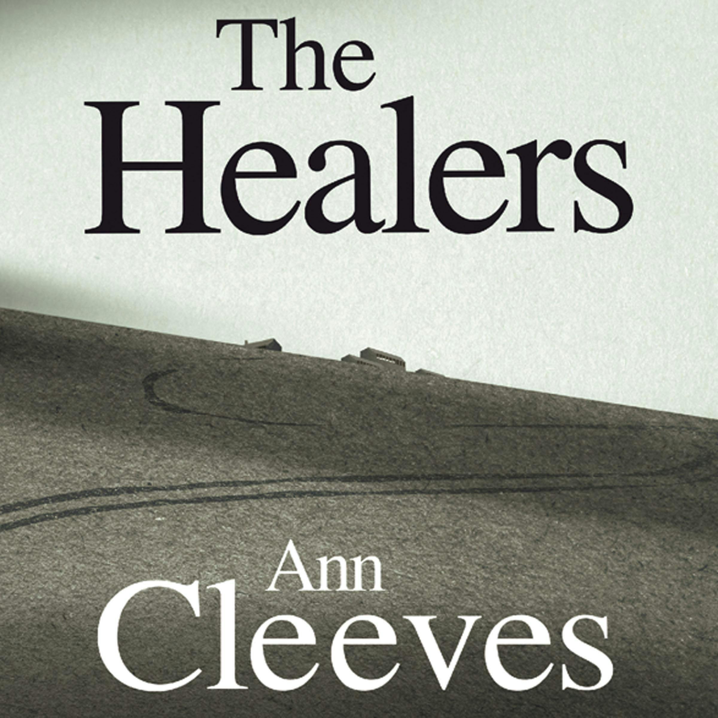 The Healers - Ann Cleeves
