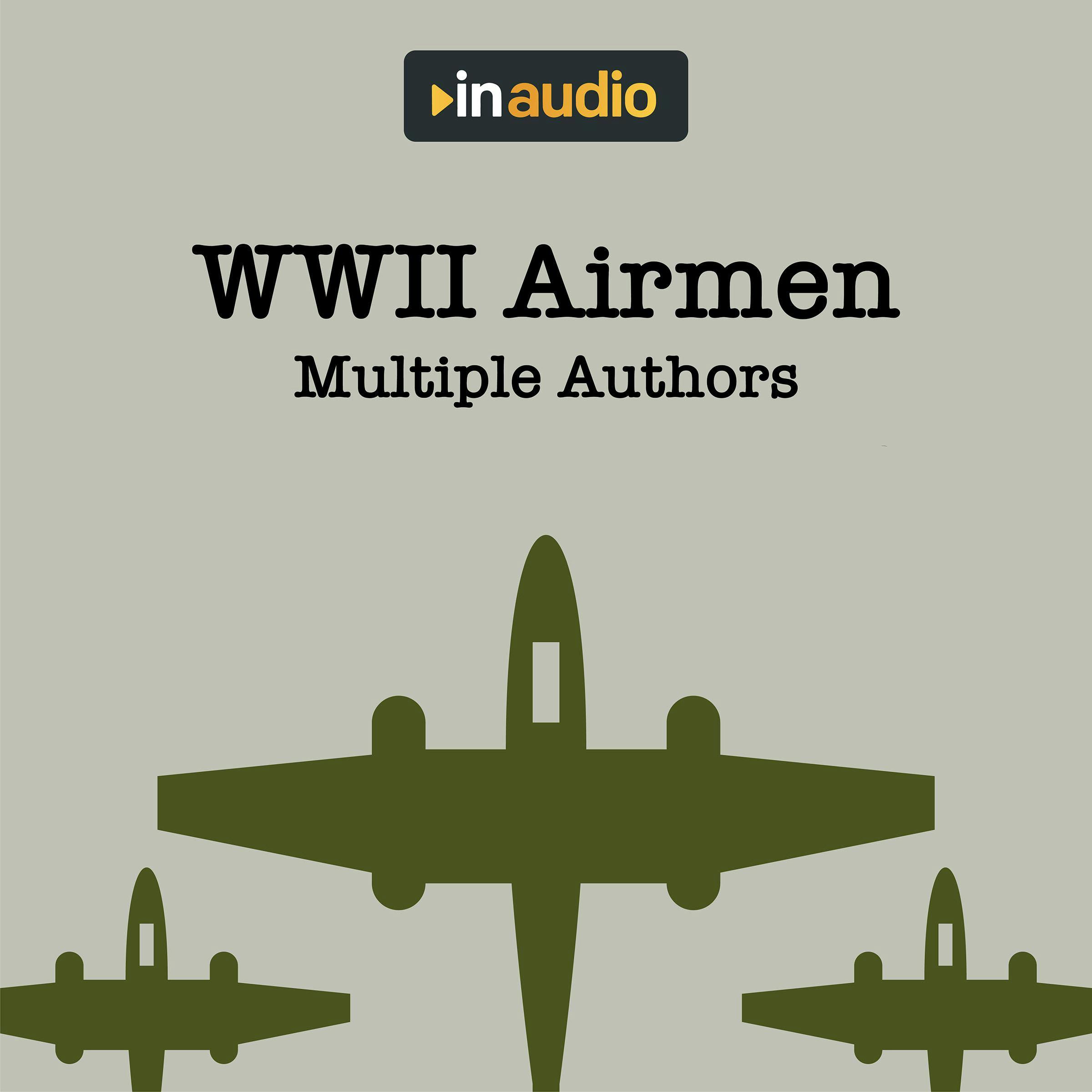 WWII Airmen: Amazing Accounts of Airmen Recorded During the War - Multiple Authors