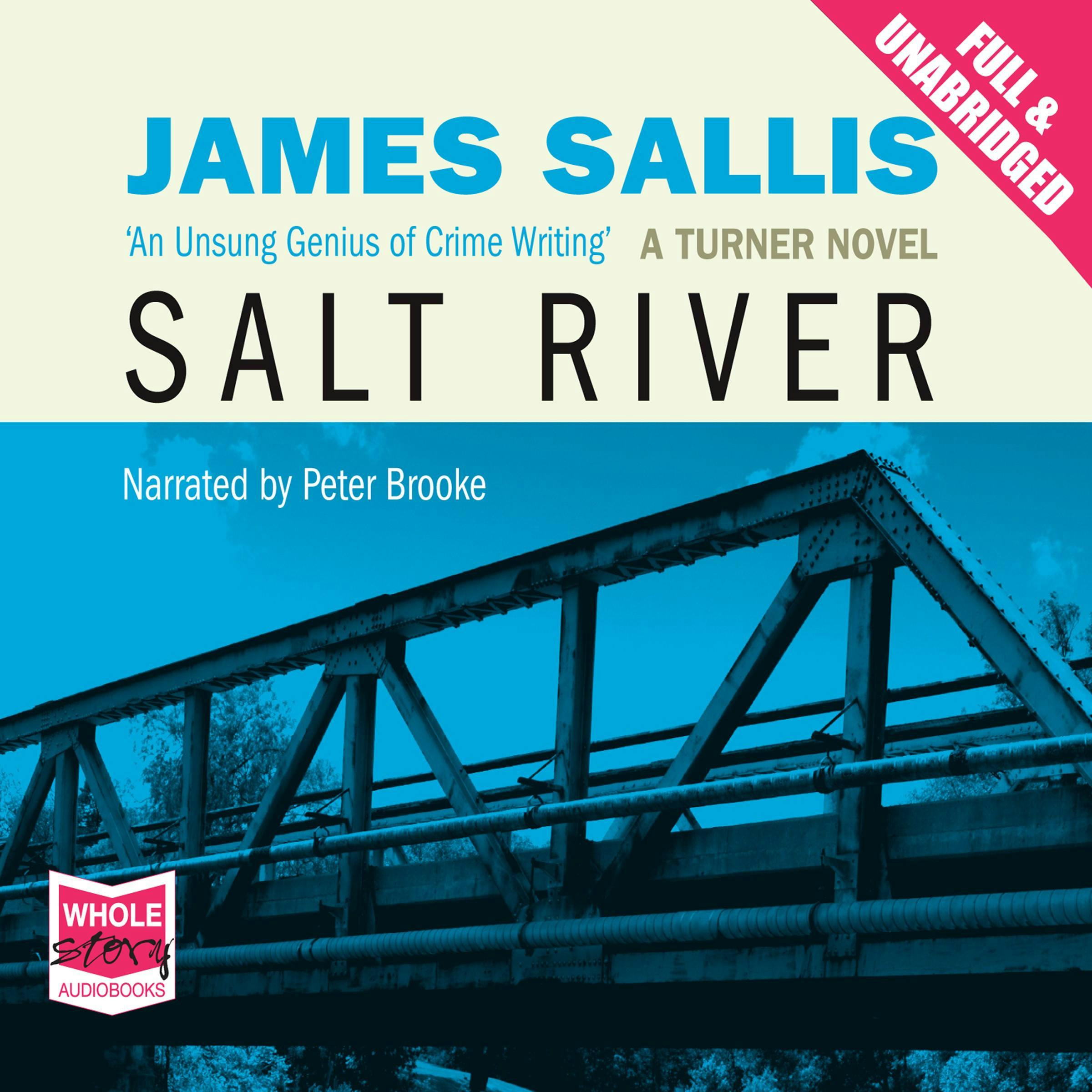 Salt River - James Sallis