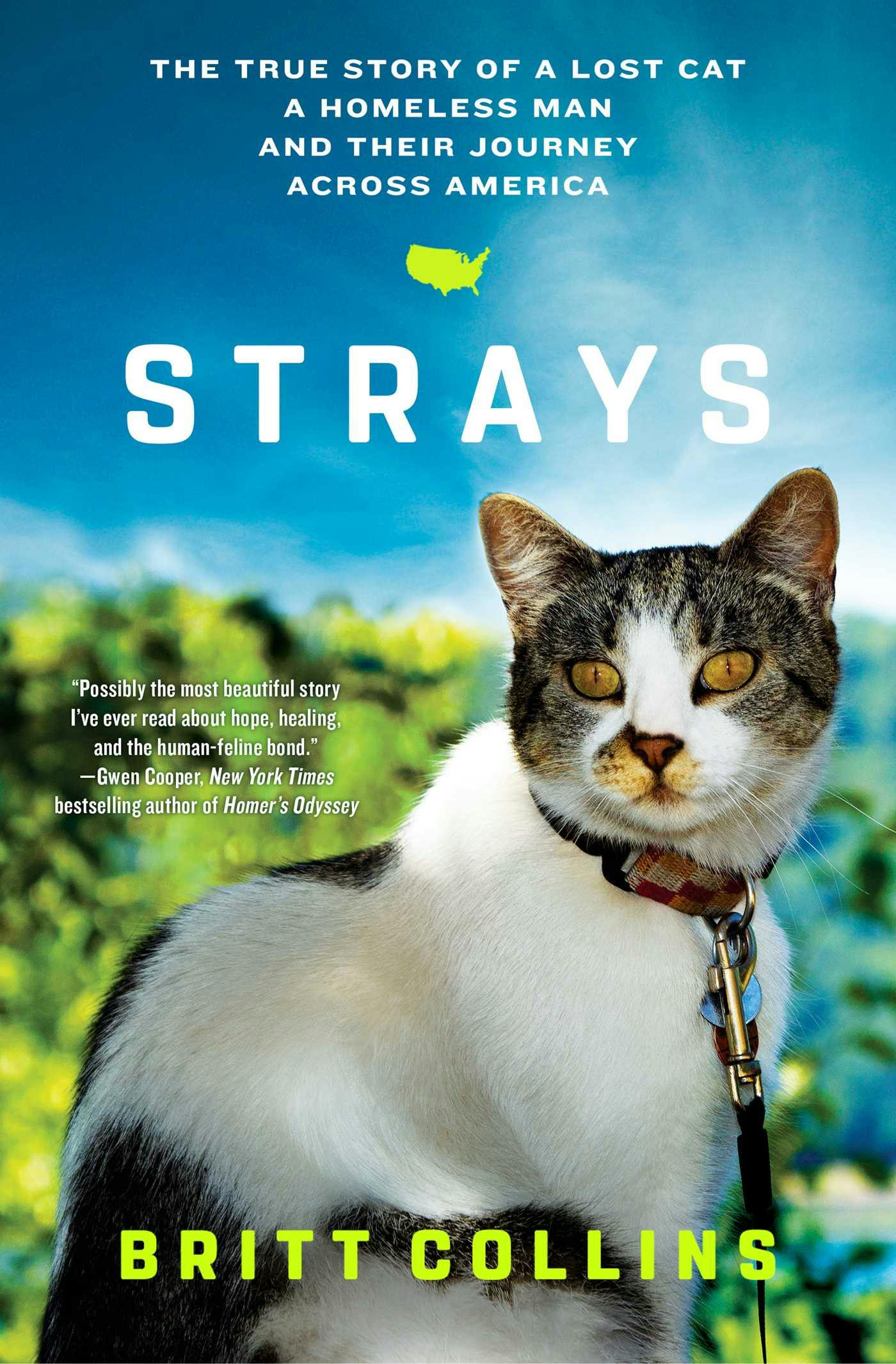 Strays: The True Story of a Lost Cat, a Homeless Man, and Their Journey Across America - Britt Collins