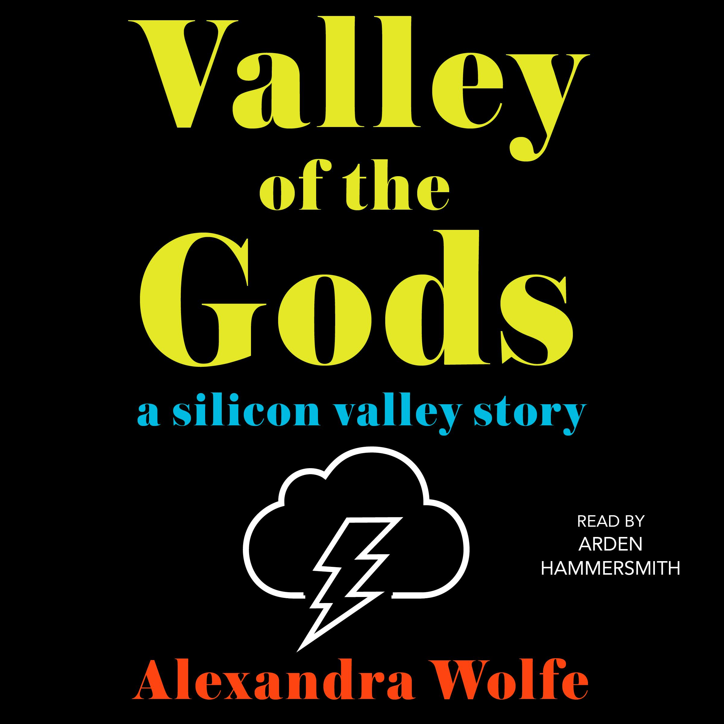 The Valley of the Gods: A Silicon Valley Story - Alexandra Wolfe