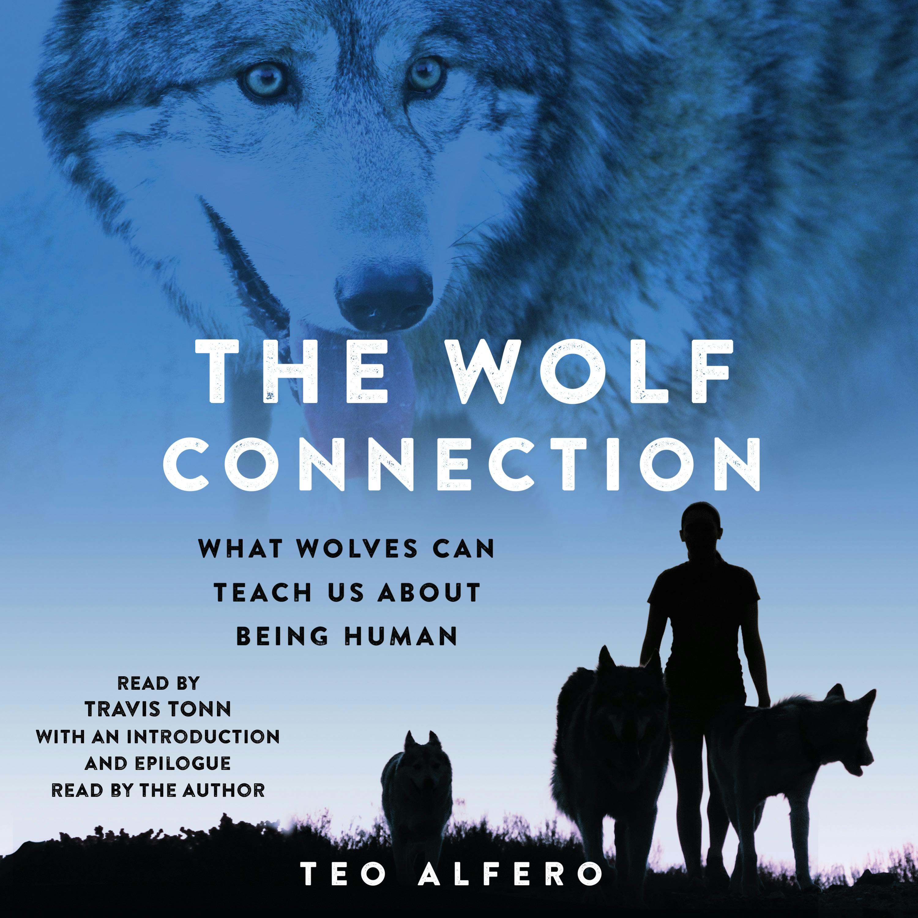 The Wolf Connection: What Wolves Can Teach Us About Being Human - undefined