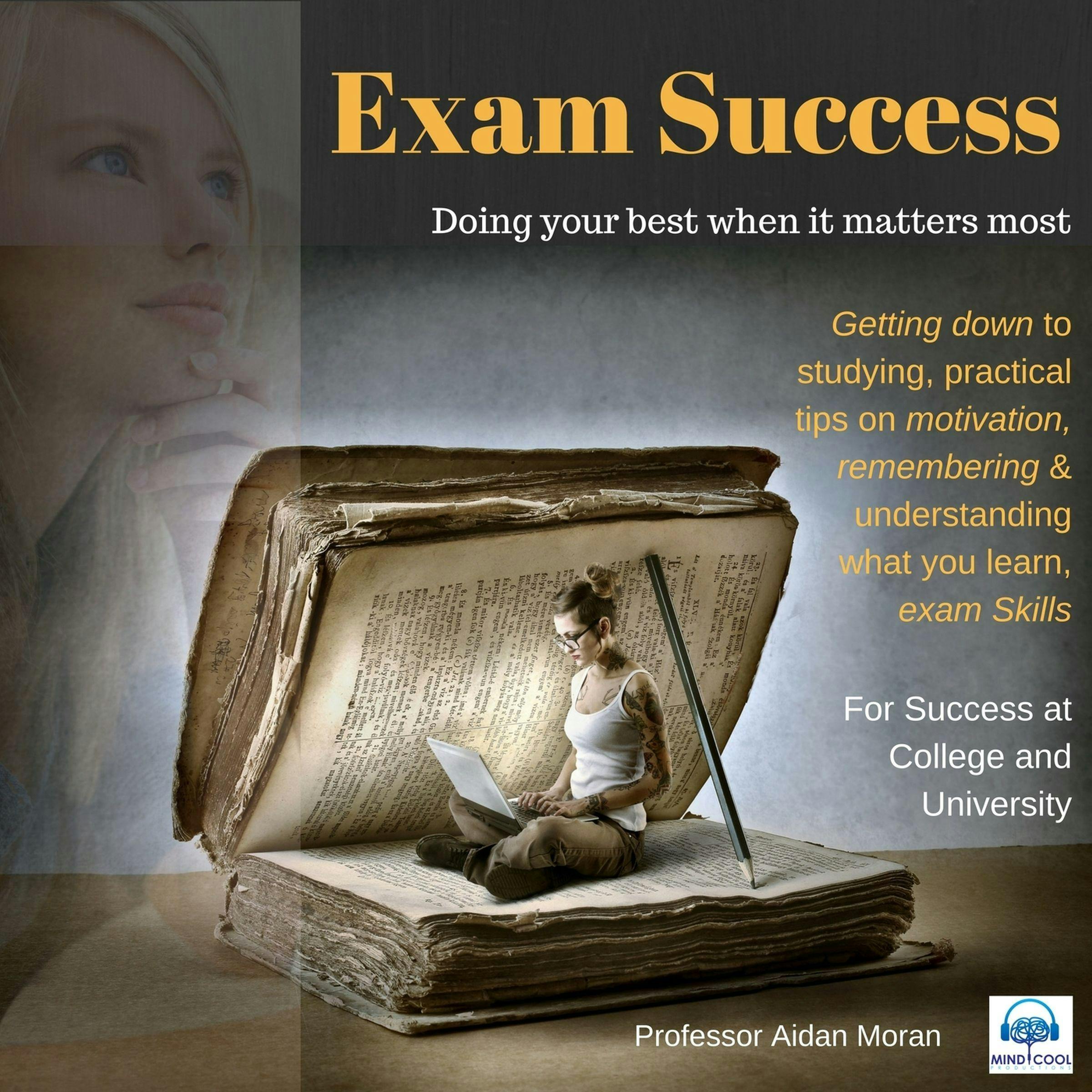 Exam Success: Getting down to studying, practical tips on motivation, remembering & understanding what you learn, exam skills - Aidan Moran
