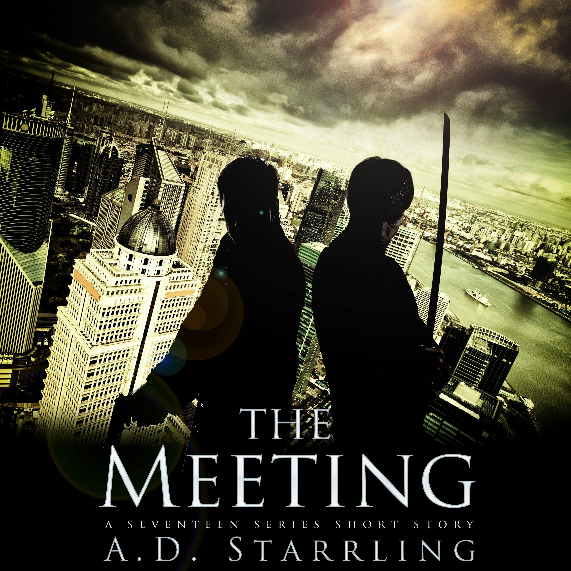 The Meeting: A Seventeen Series Short Story - AD Starrling