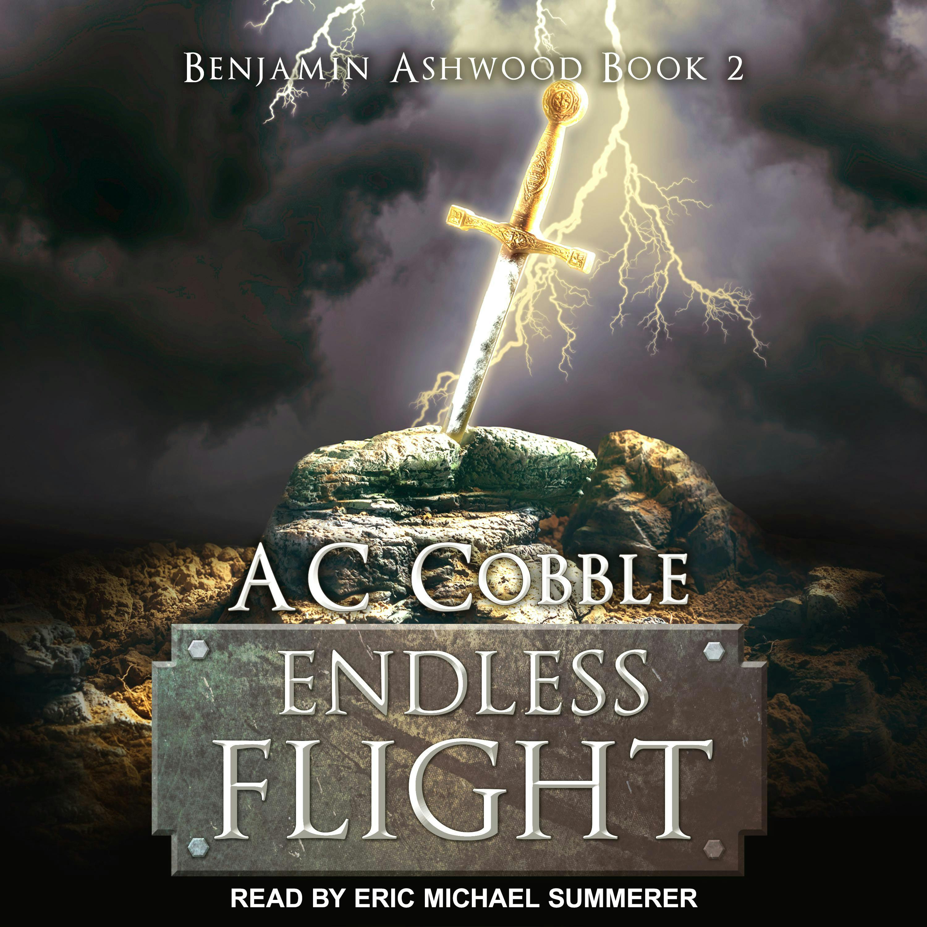 Endless Flight - A. C. Cobble