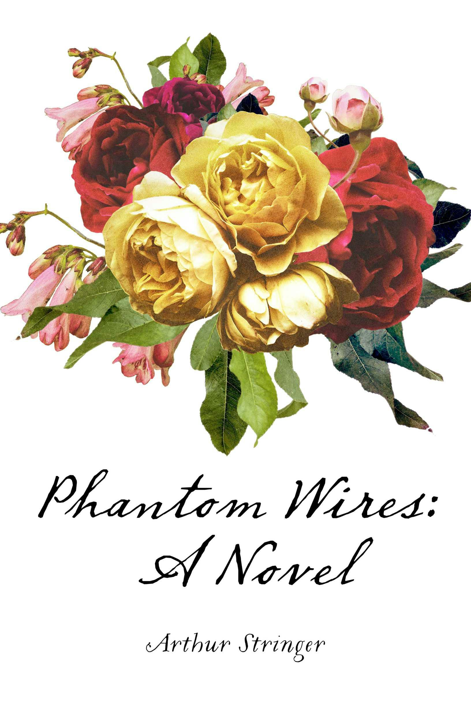 Phantom Wires: A Novel - Arthur Stringer