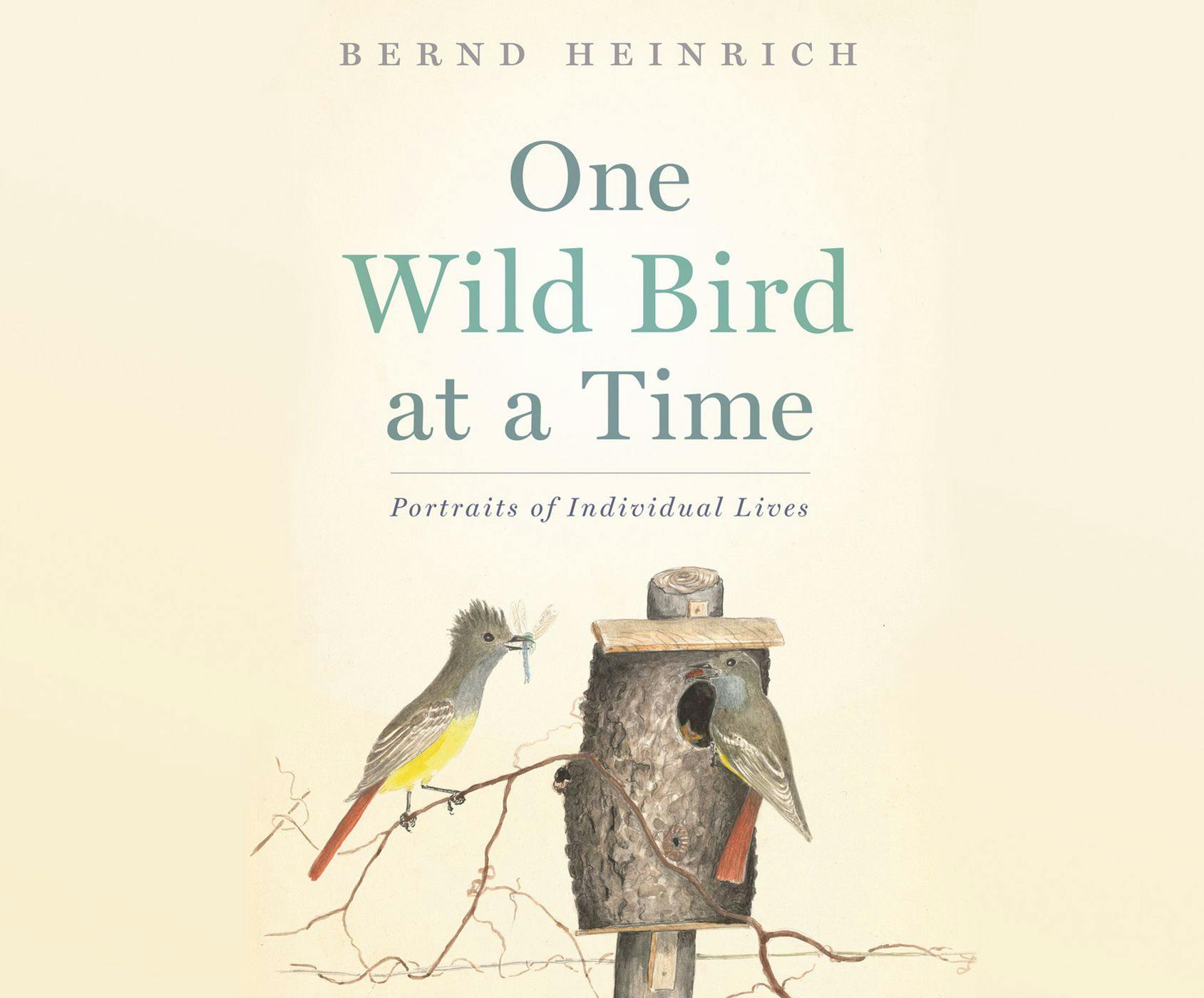 One Wild Bird at a Time - Portraits of Individual Lives (Unabridged) - Bernd Heinrich