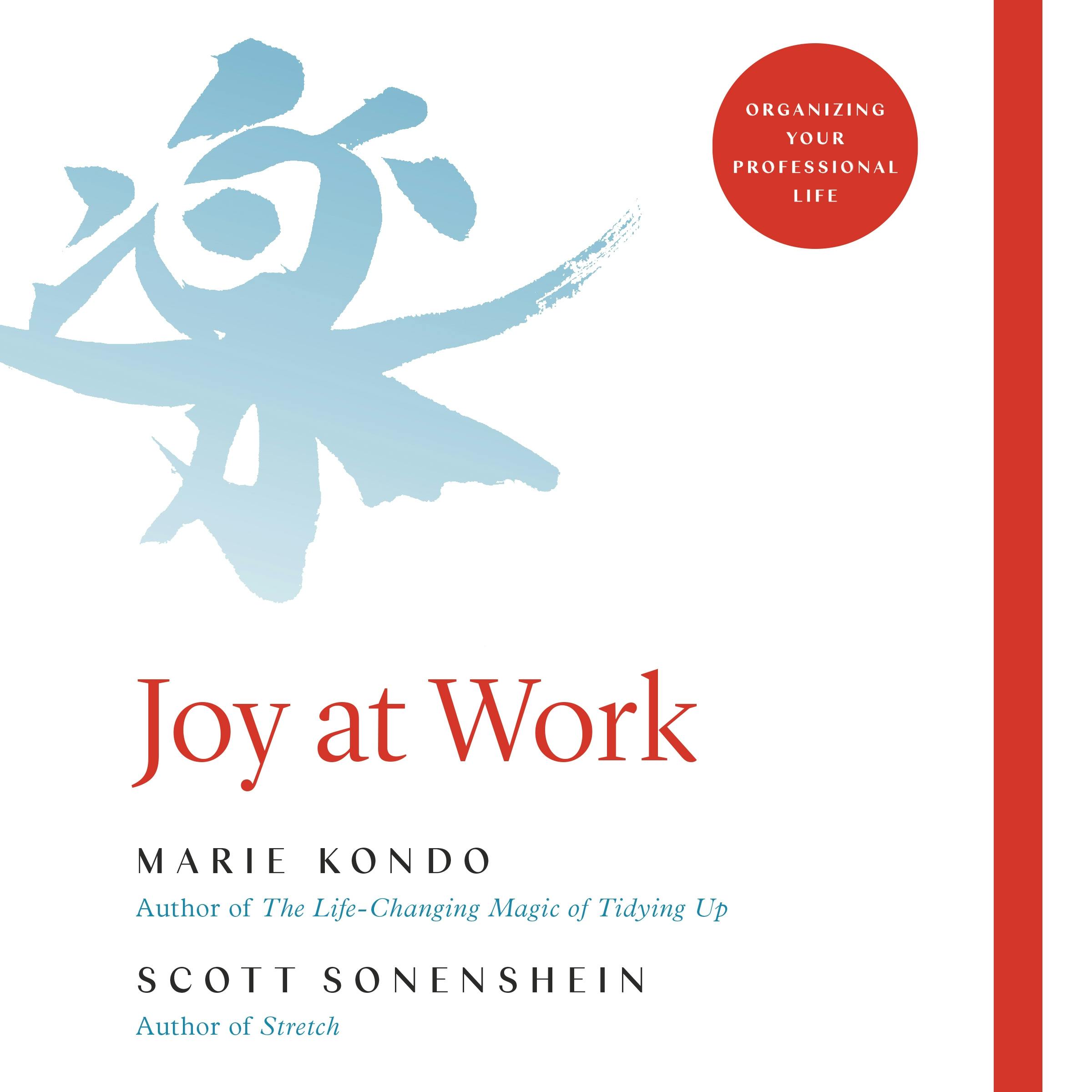 Joy at Work: Organizing Your Professional Life - undefined