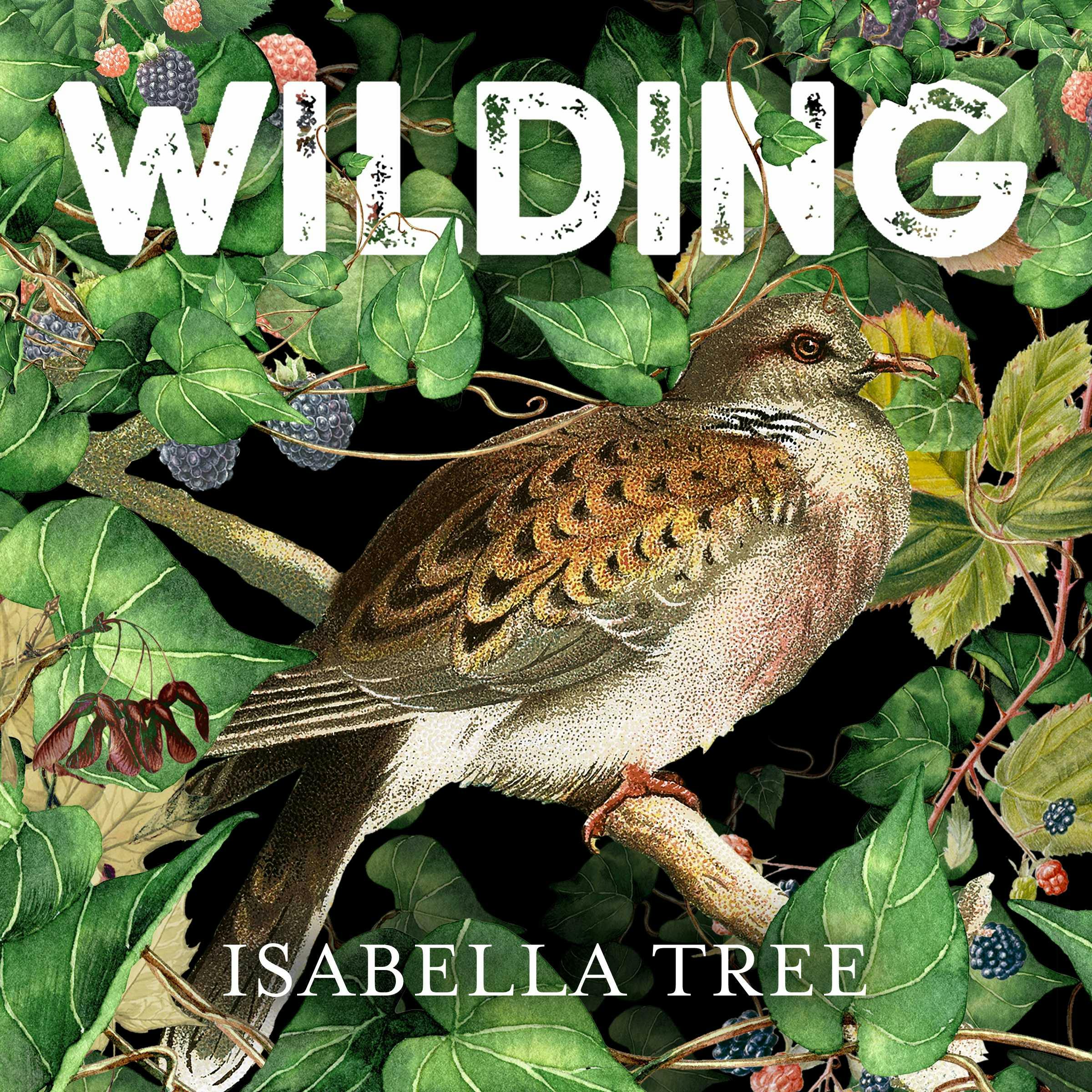 Wilding: The Return of Nature to a British Farm - Isabella Tree
