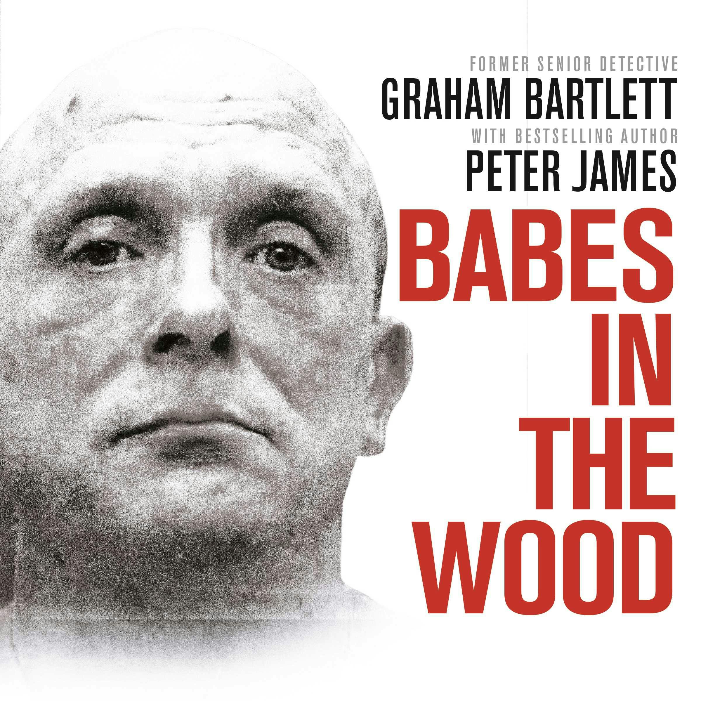 Babes in the Wood: Two girls murdered. A guilty man walks free. Can the police get justice? - Graham Bartlett
