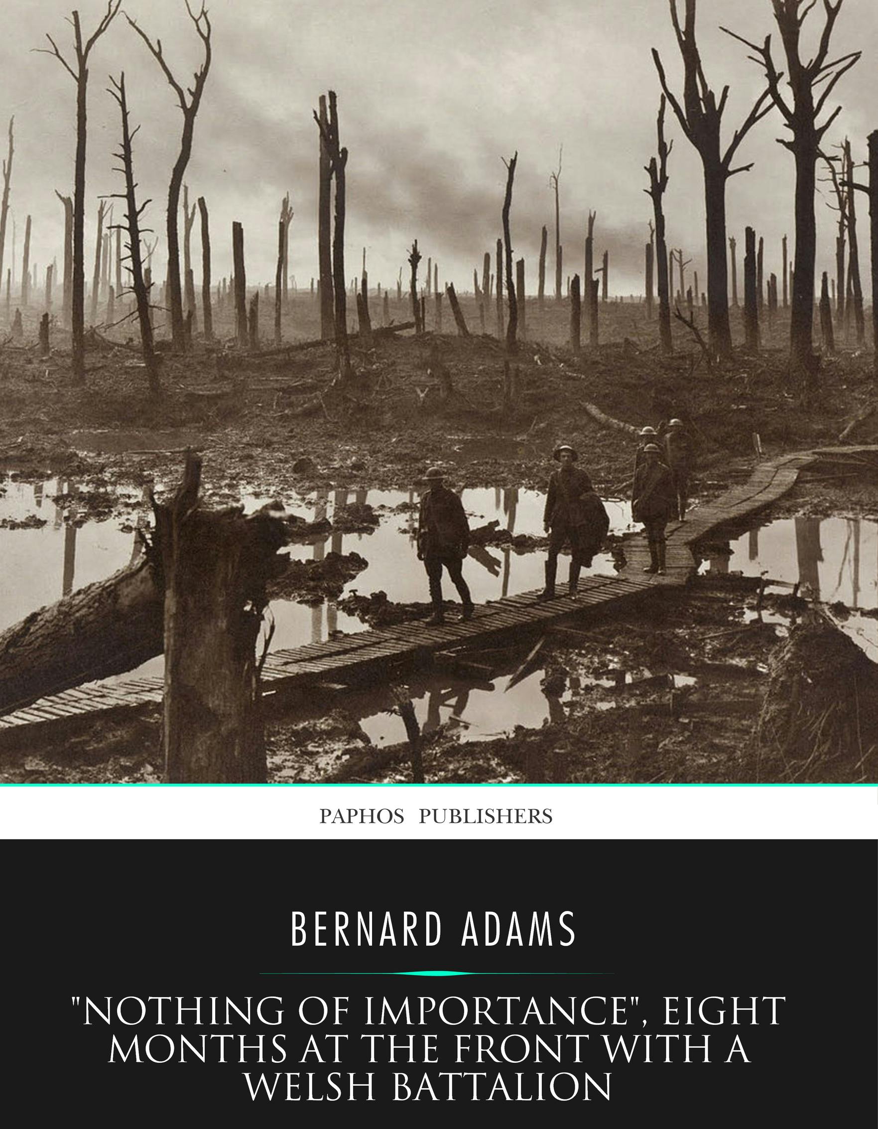 "Nothing of Importance", Eight Months at the Front with a Welsh Battalion - Bernard Adams