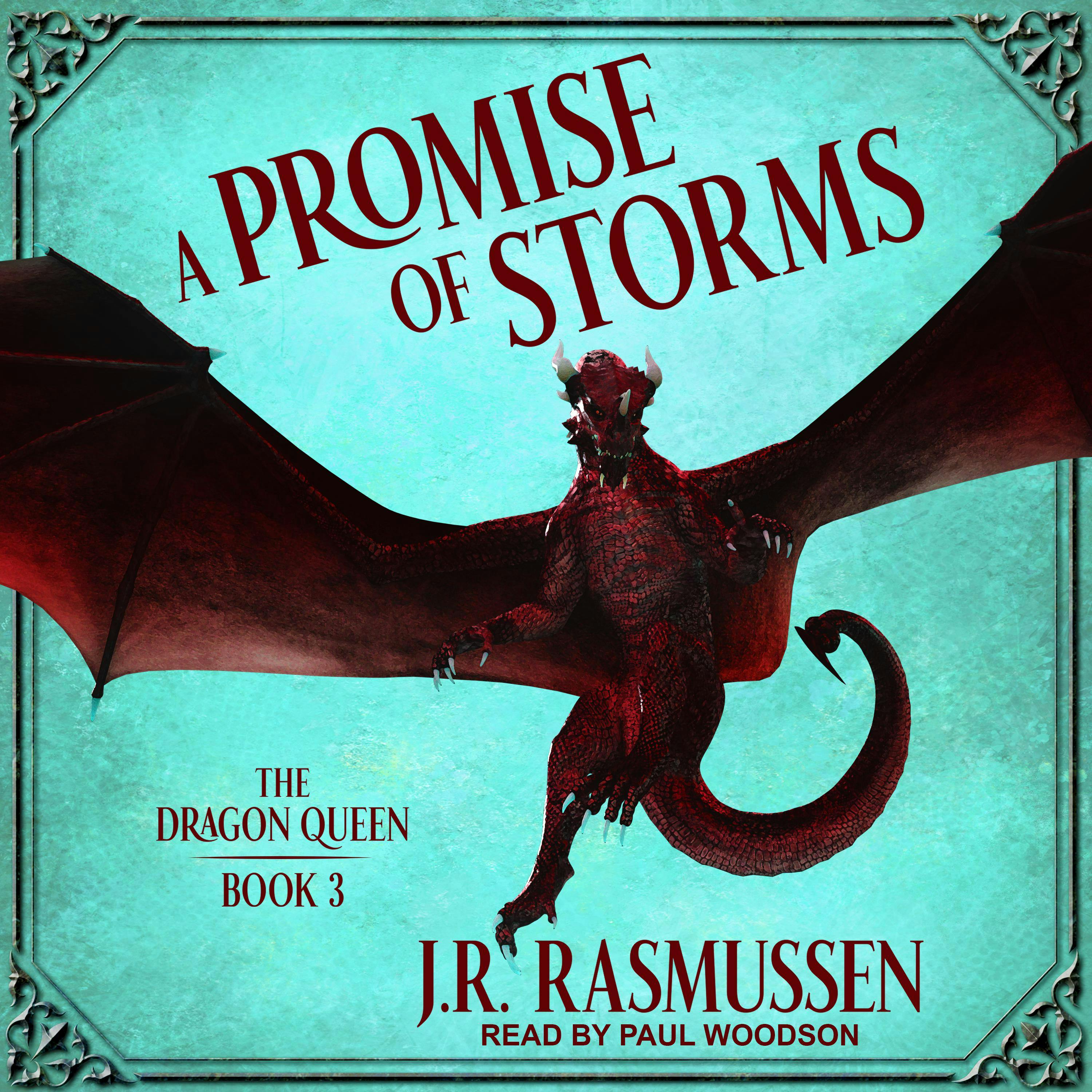 A Promise of Storms - J.R. Rasmussen