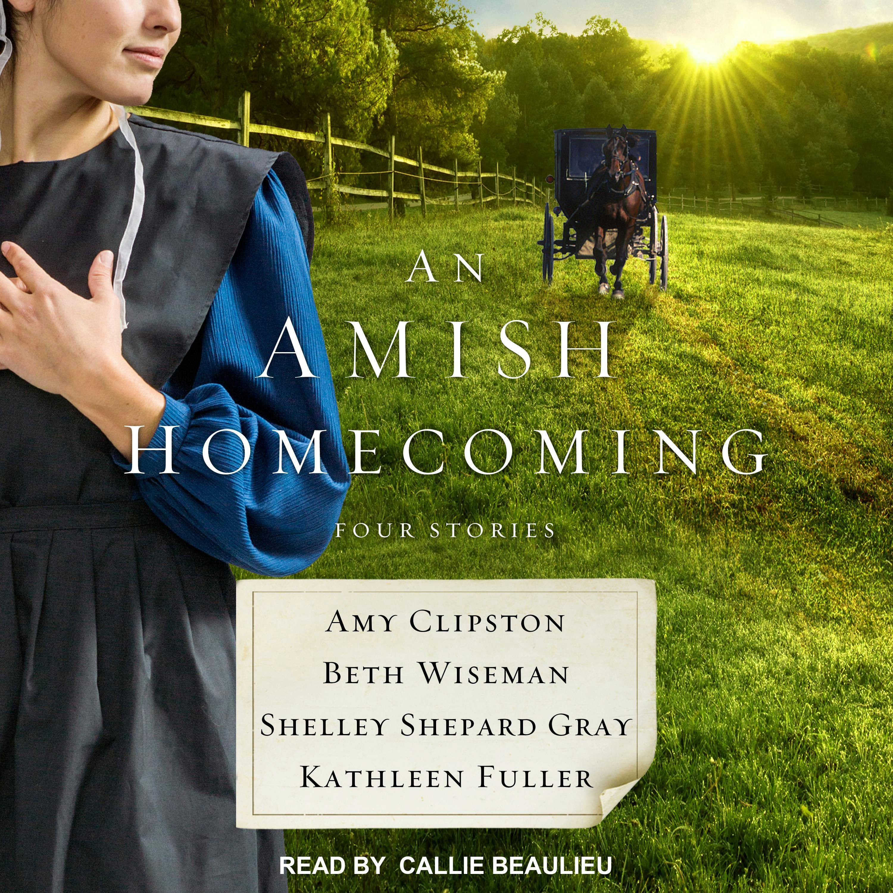 An Amish Homecoming: Four Stories - Shelley Shepard Gray, Beth Wiseman, Amy Clipston, Kathleen Fuller