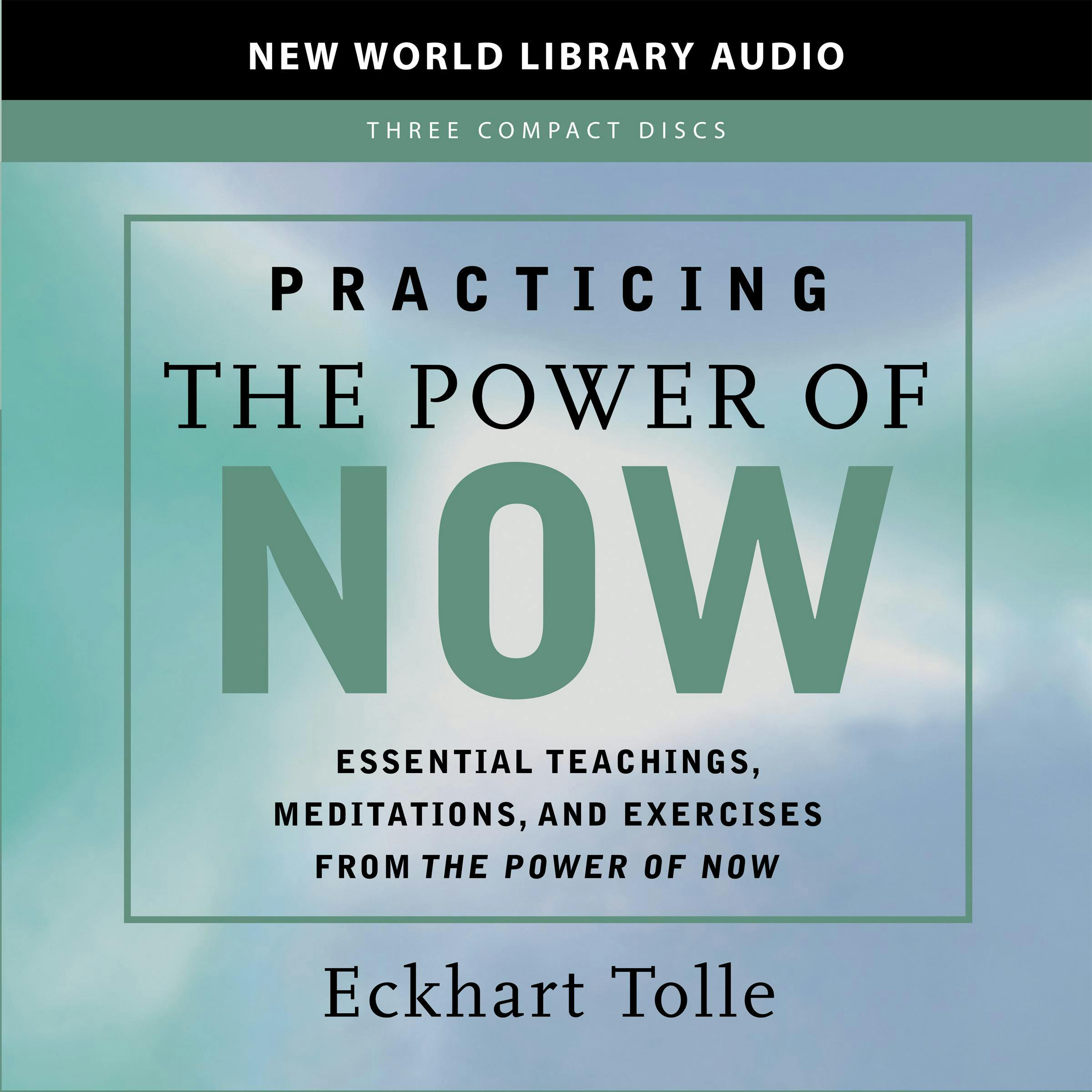 Practicing the Power of Now - undefined