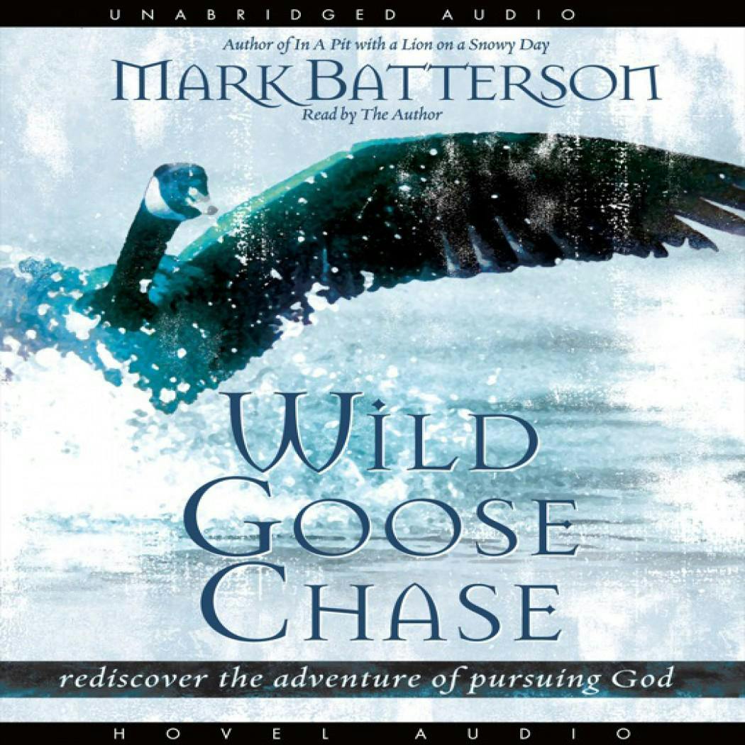 Wild Goose Chase: Rediscover the Adventure of Pursuing God - undefined