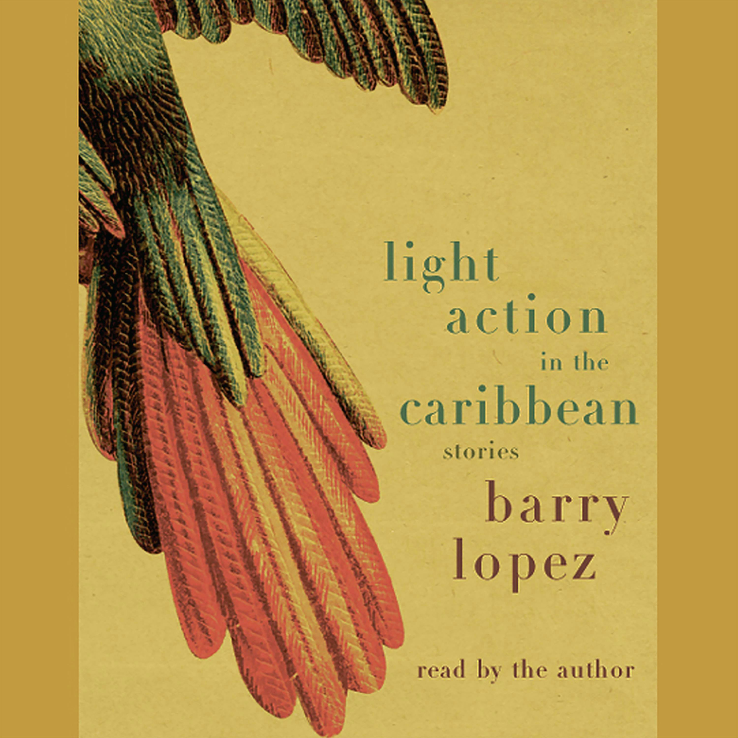 Light Action In the Caribbean: Stories - Barry Lopez
