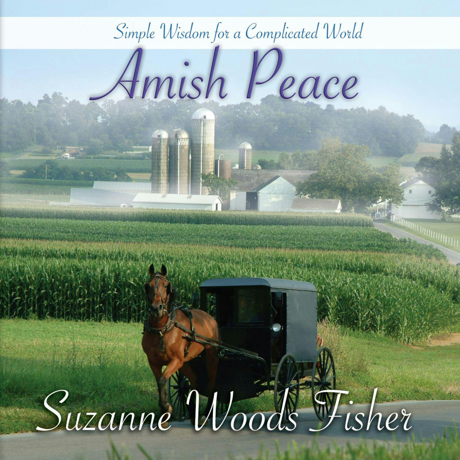 Amish Peace: Simple Wisdom for a Complicated World - undefined