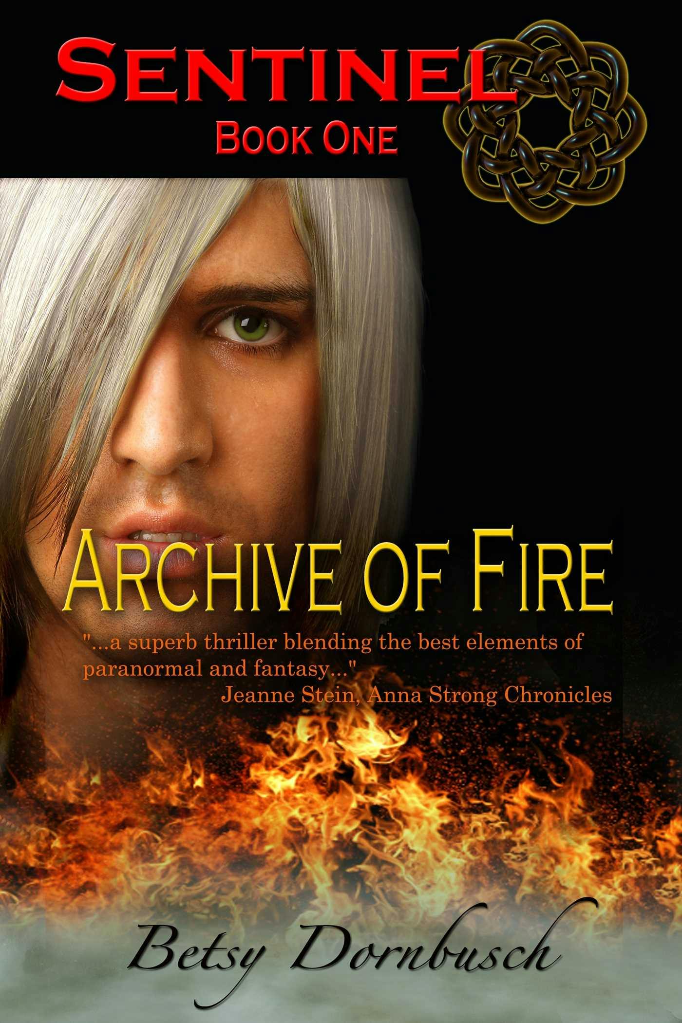 Archive Of Fire - Betsy Dornbusch
