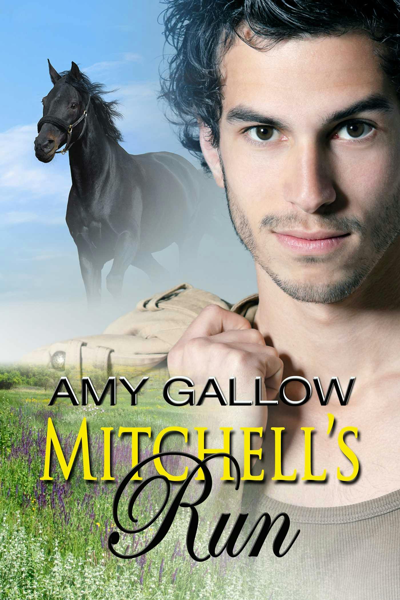 Mitchell's Run - Amy Gallow