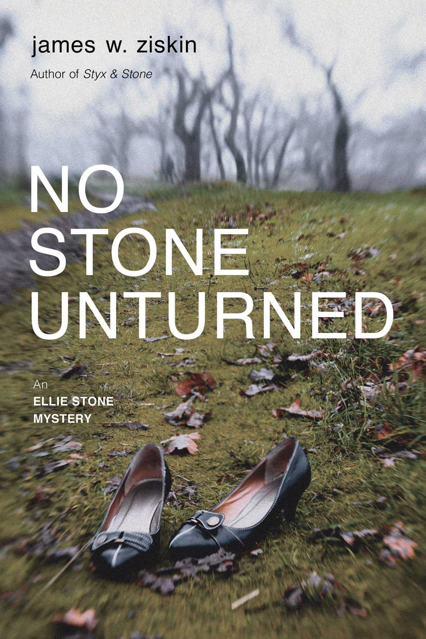 No Stone Unturned: An Ellie Stone Mystery - James W. Ziskin