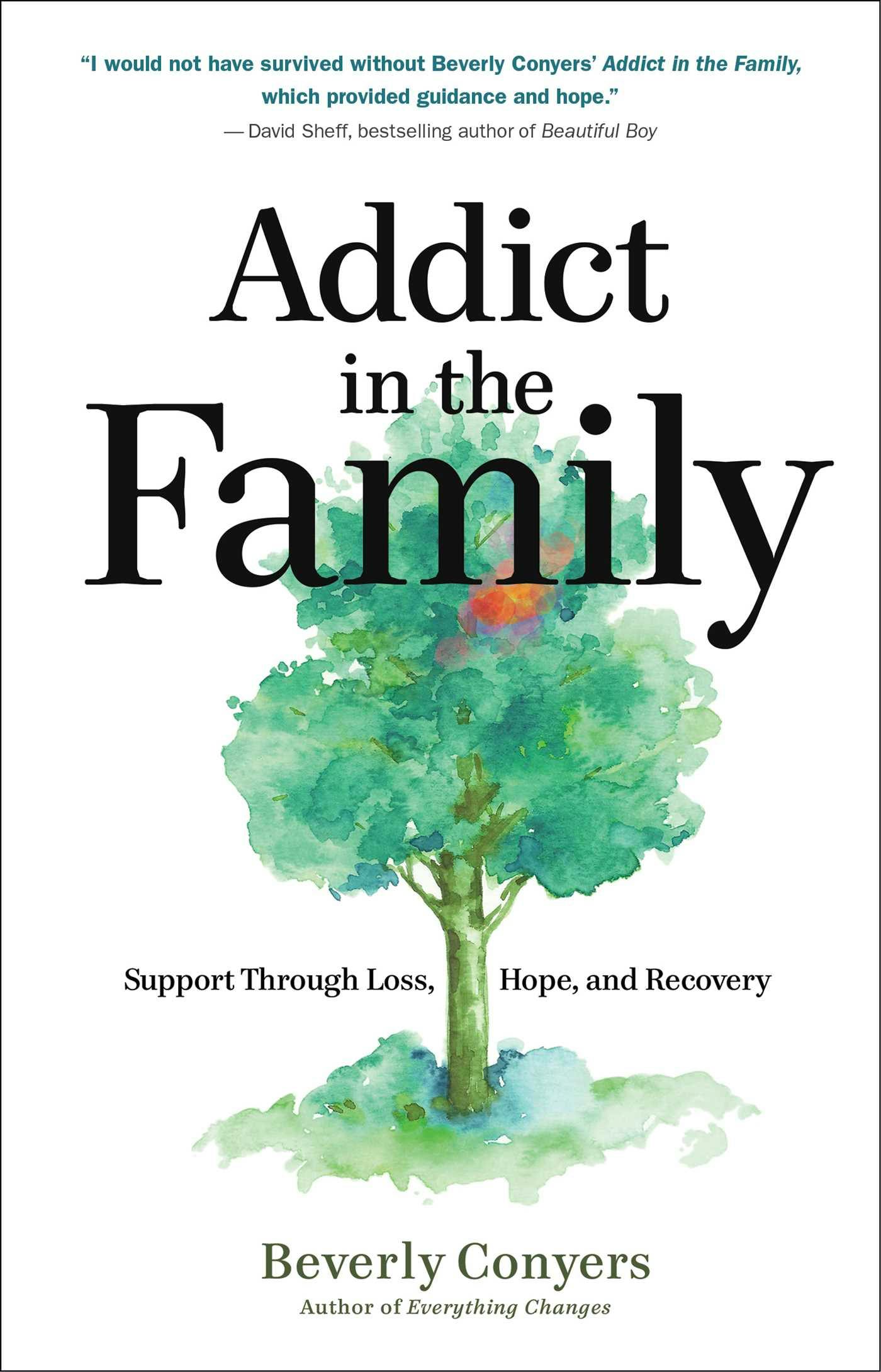 Addict in the Family: Support Through Loss, Hope, and Recovery - undefined