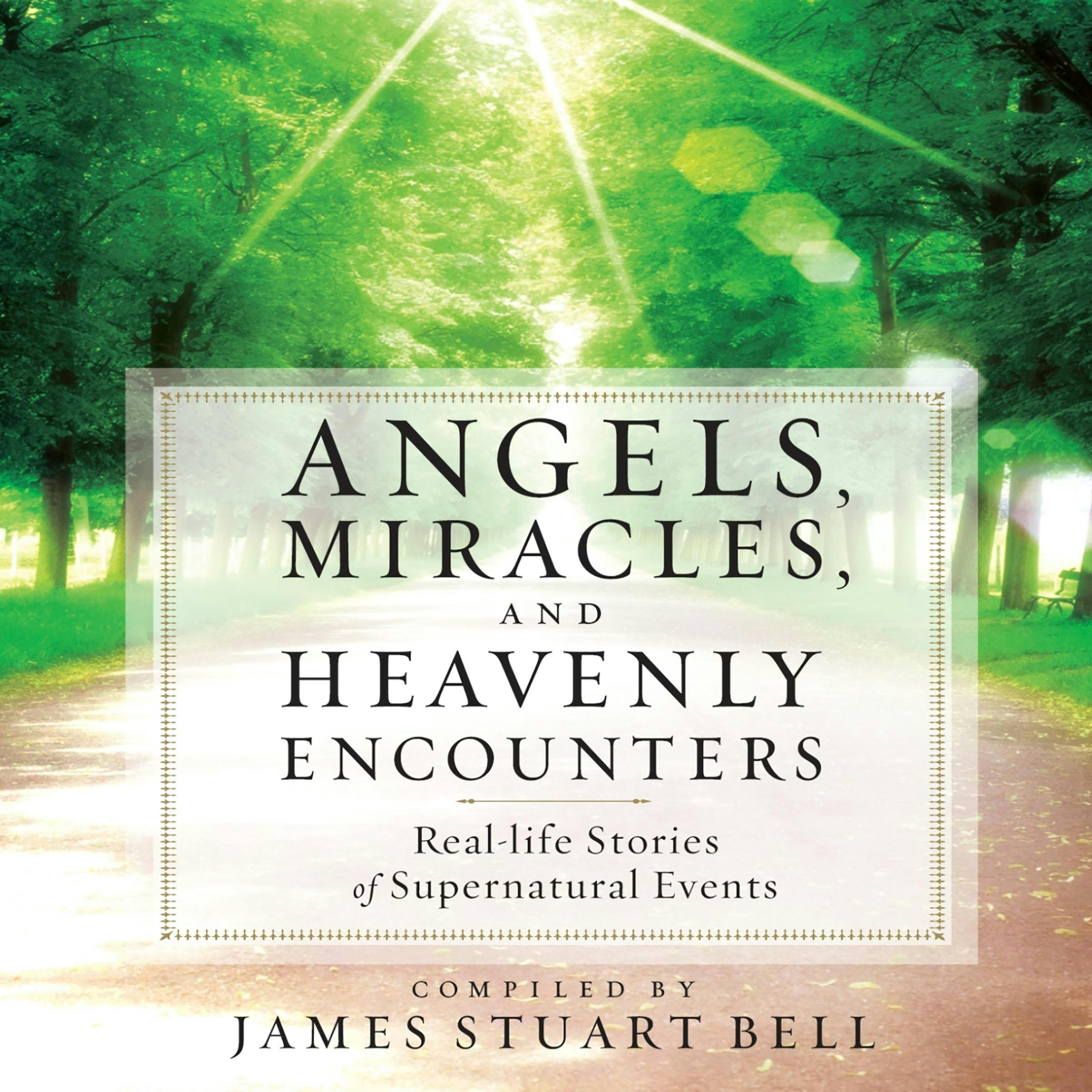 Angels, Miracles, and Heavenly Encounters: Real-life Stories of Supernatural Events - James Bell