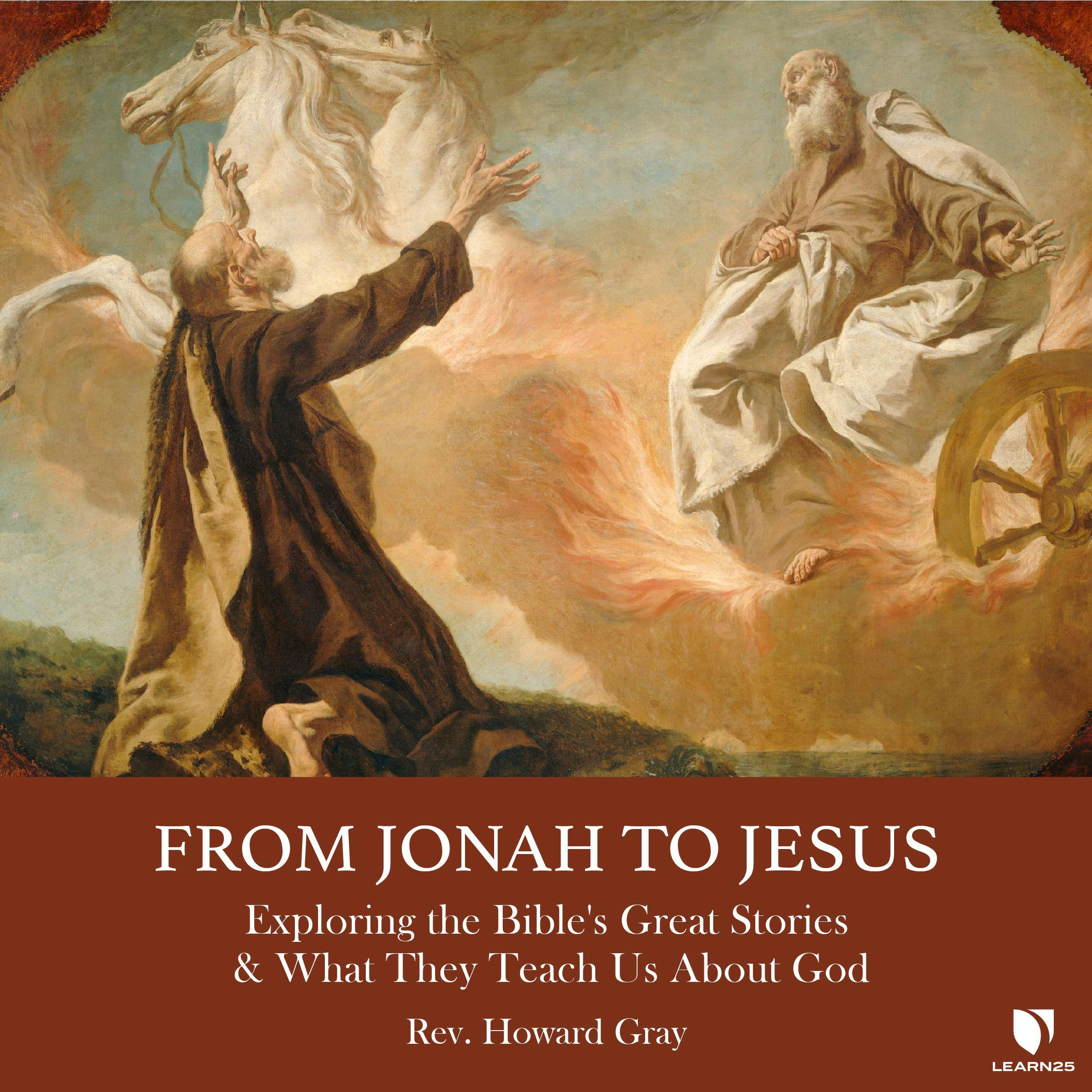 From Jonah to Jesus: Exploring the Bible's Great Stories & What They Teach Us About God - Howard Gray