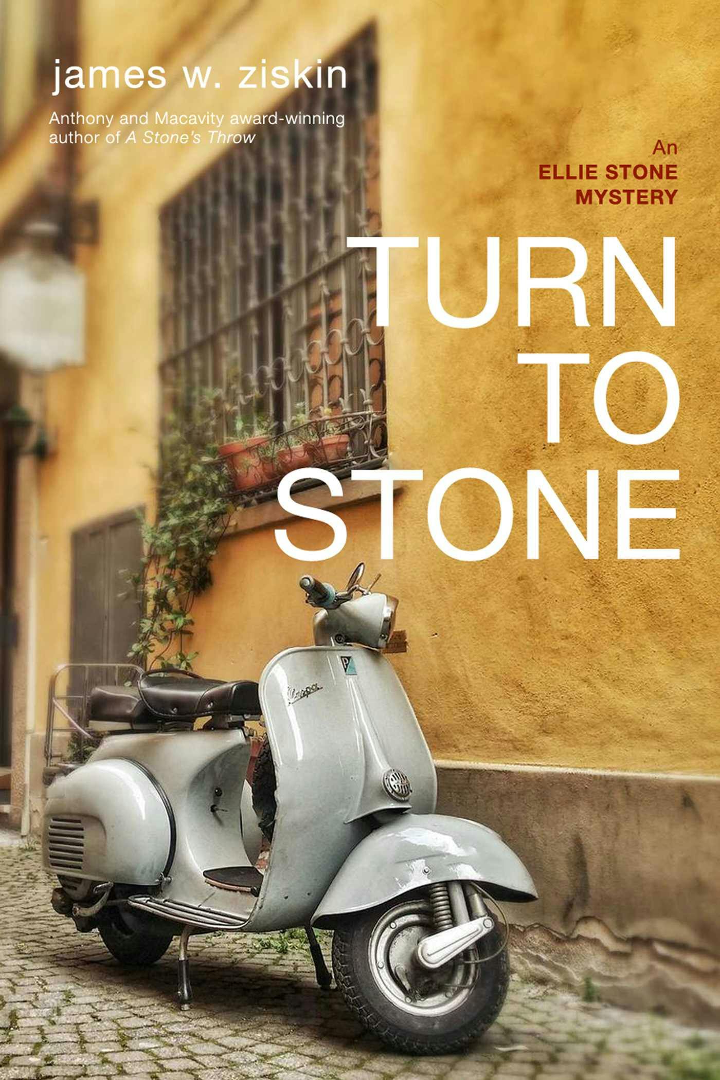 Turn to Stone: An Ellie Stone Mystery - James W. Ziskin